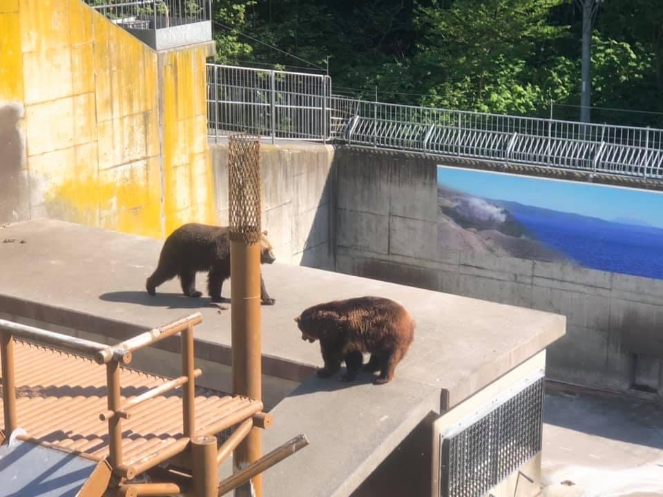 北海道自助遊攻略