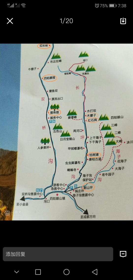 甲辰仲夏四姑娘山长坪沟