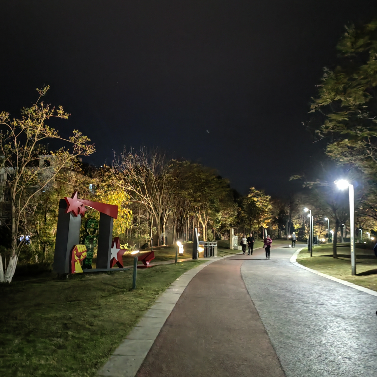 简阳鳌山公园夜景图片