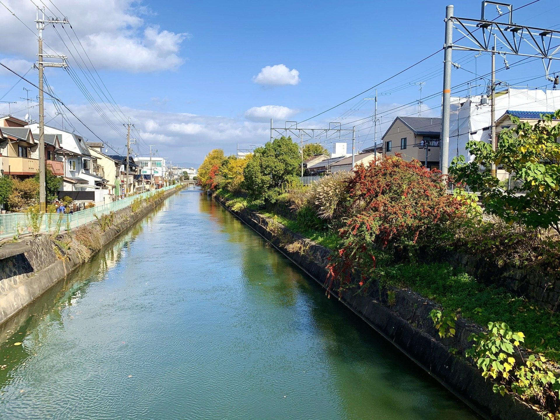 京都自助遊攻略