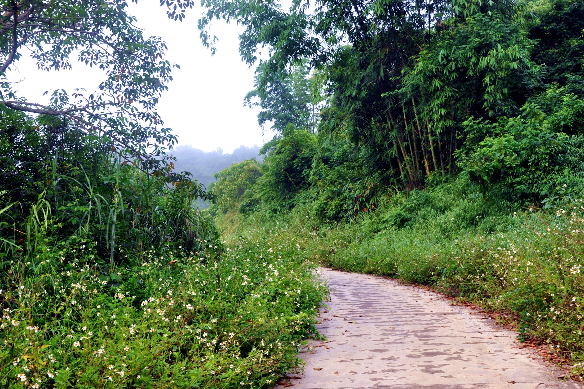 广西大新中越国界边境线