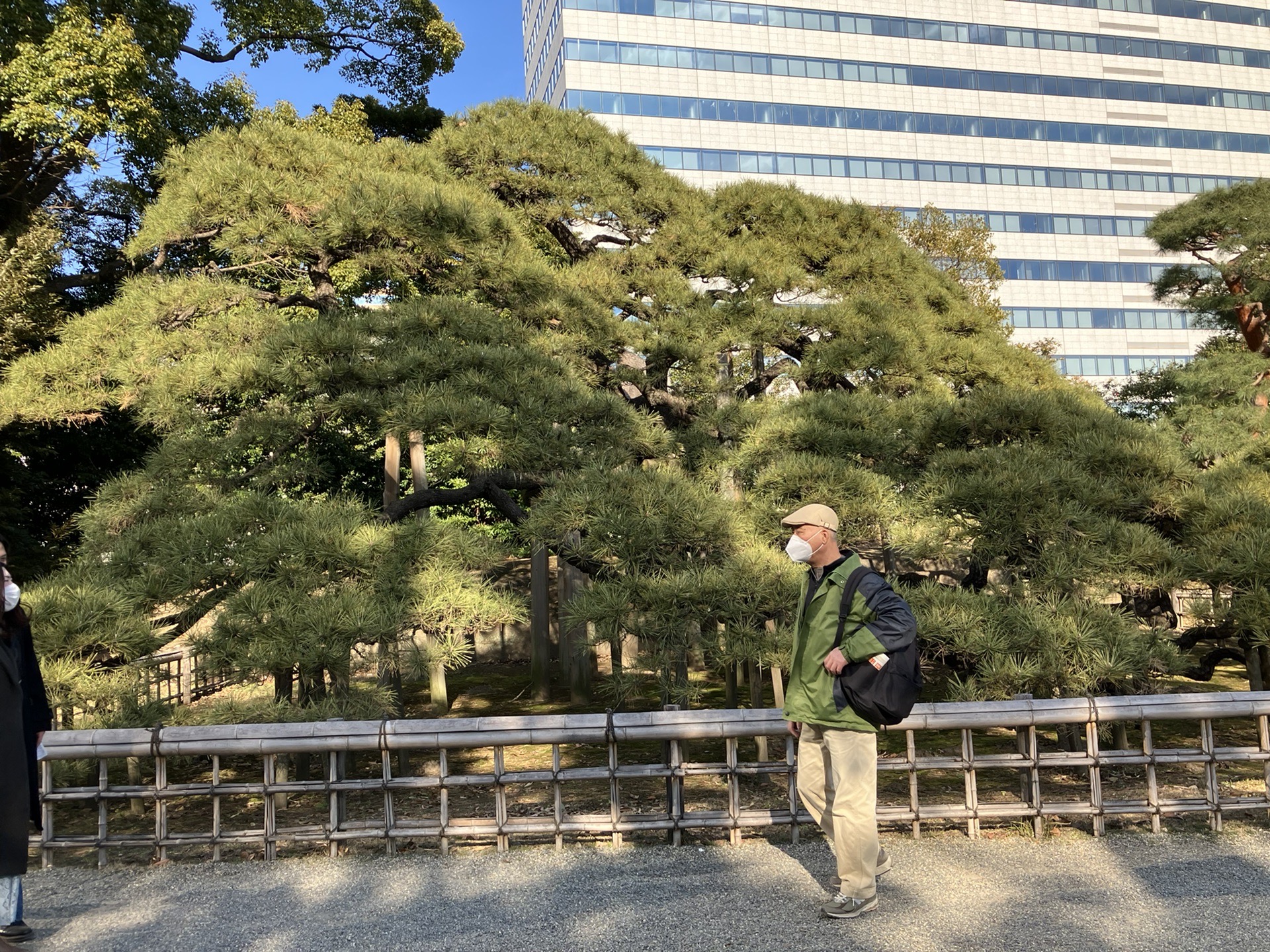 東京自助遊攻略