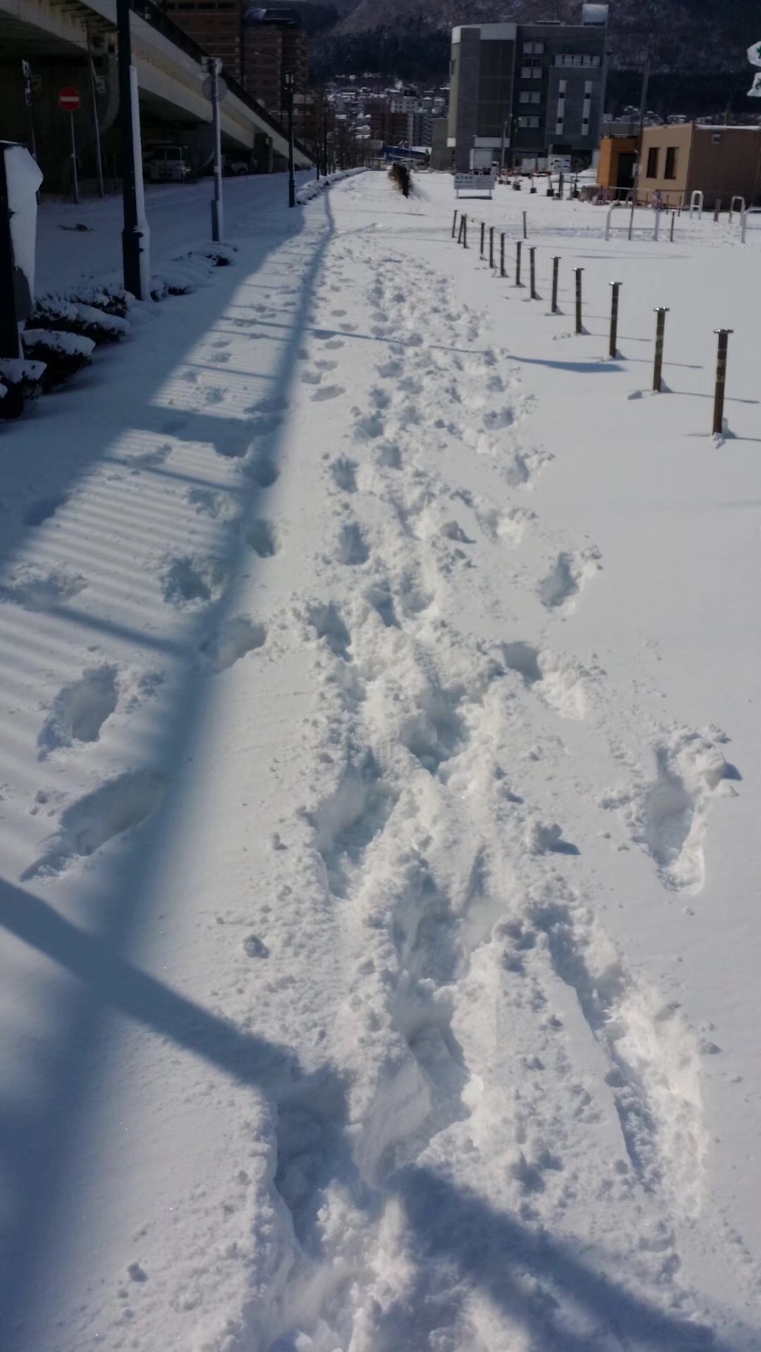 北海道自助遊攻略