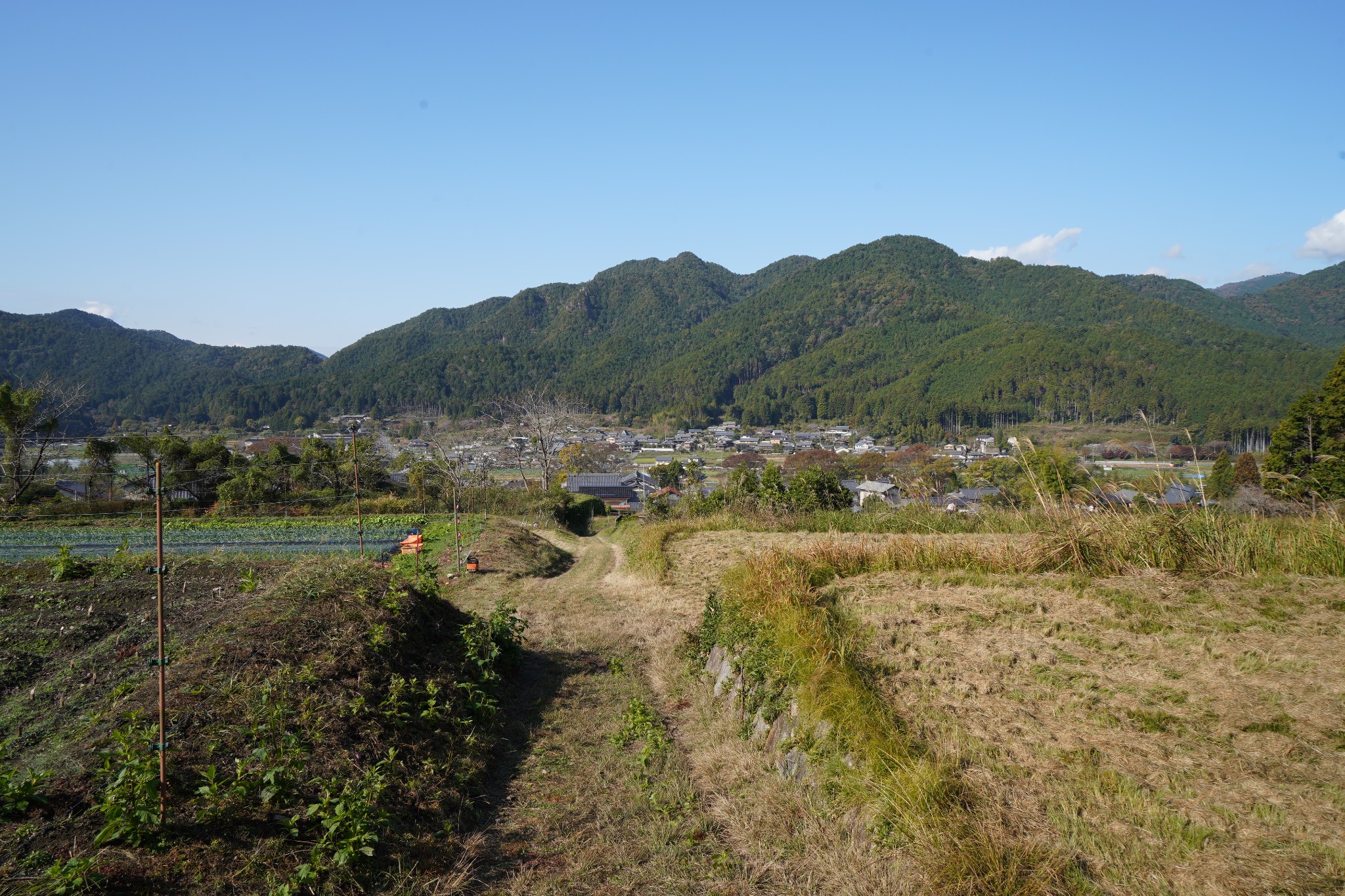 京都自助遊攻略