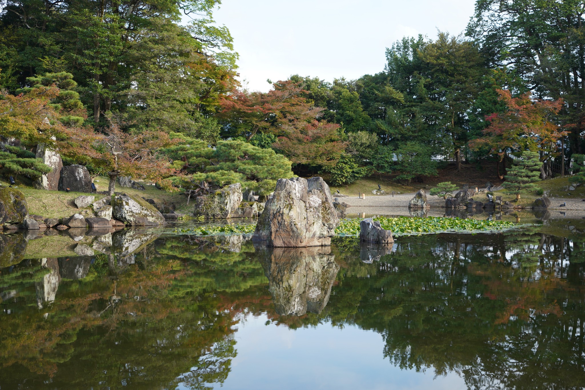 京都自助遊攻略