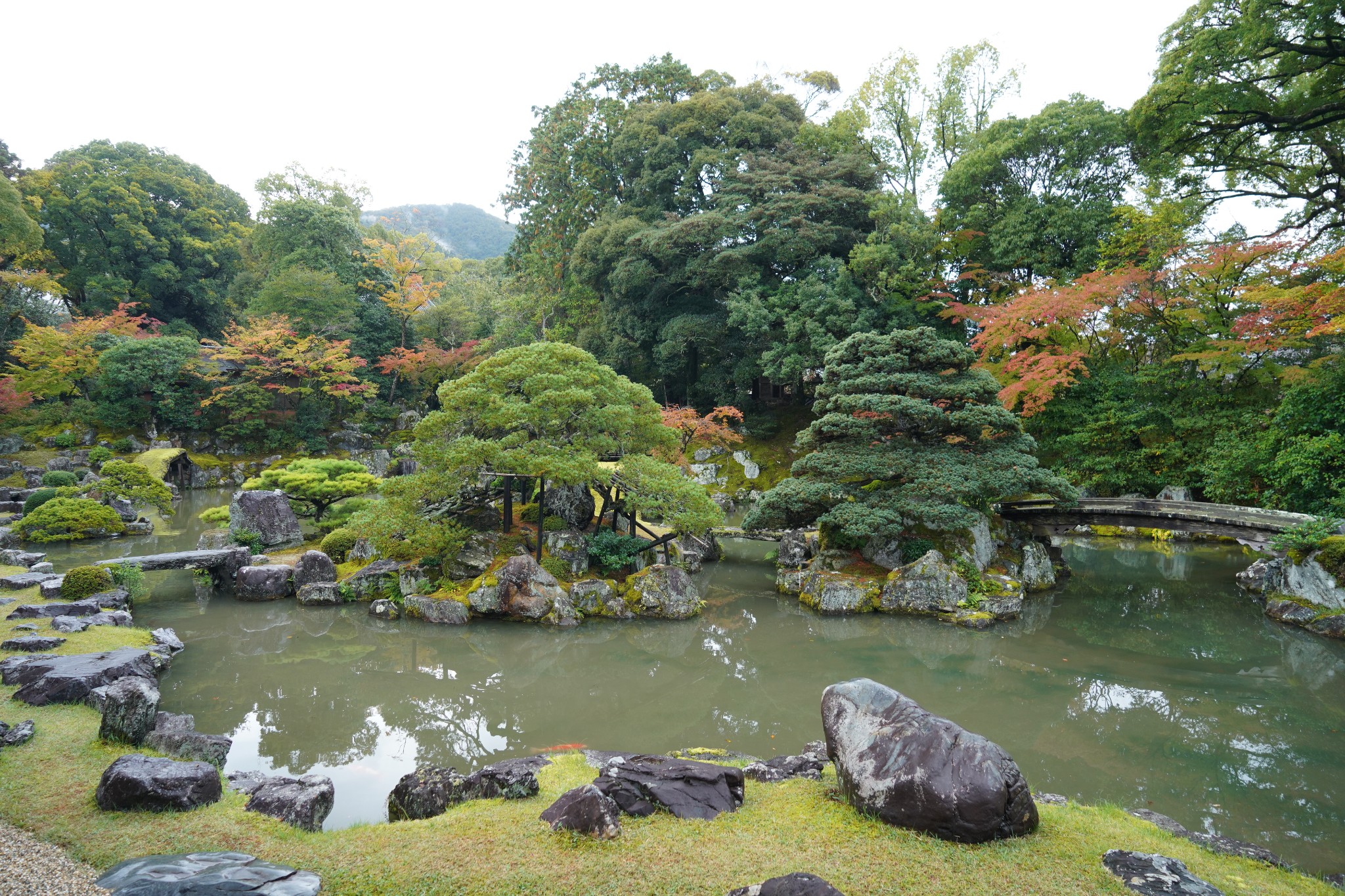 京都自助遊攻略