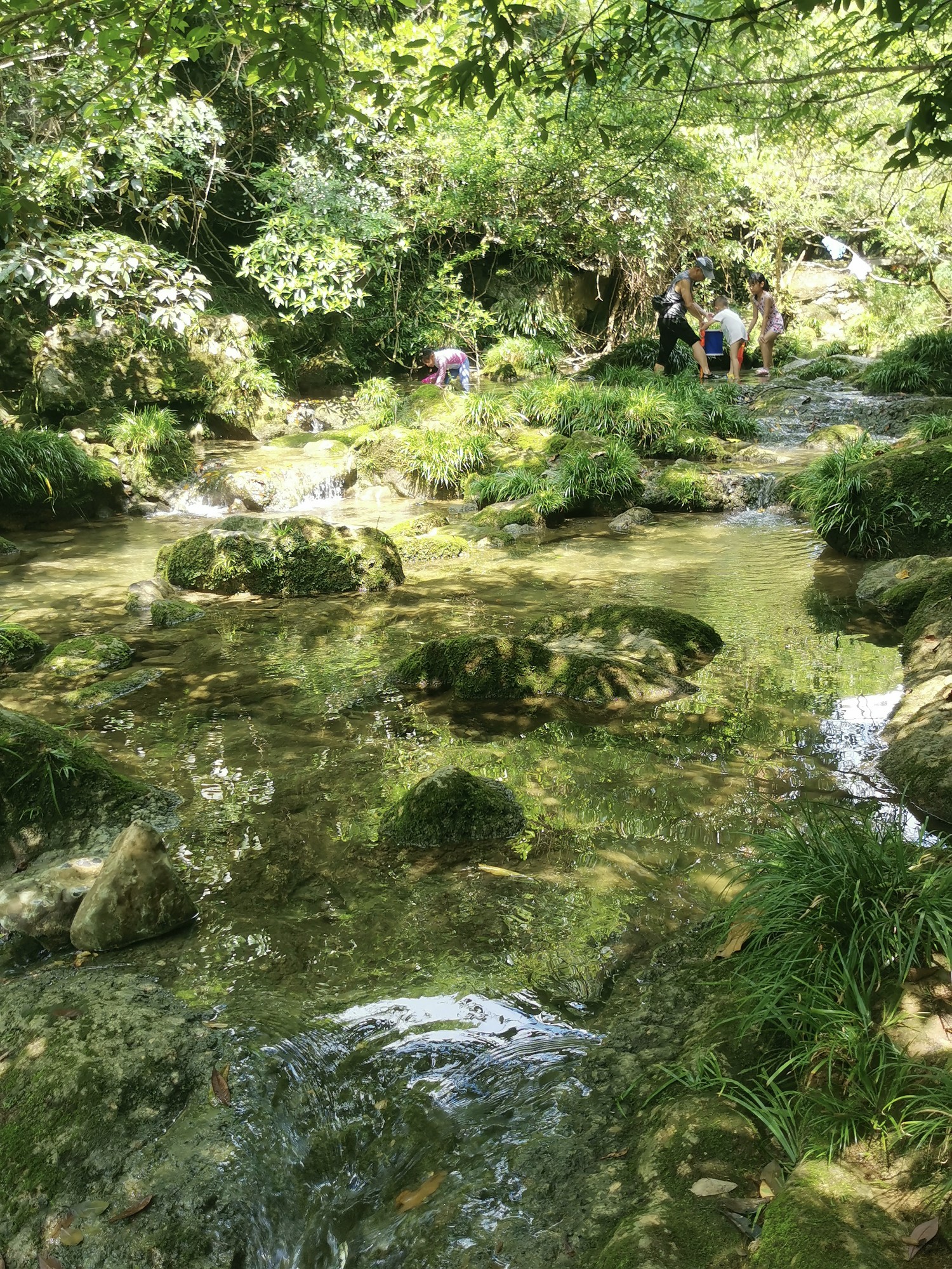 茂兰旅游攻略图片