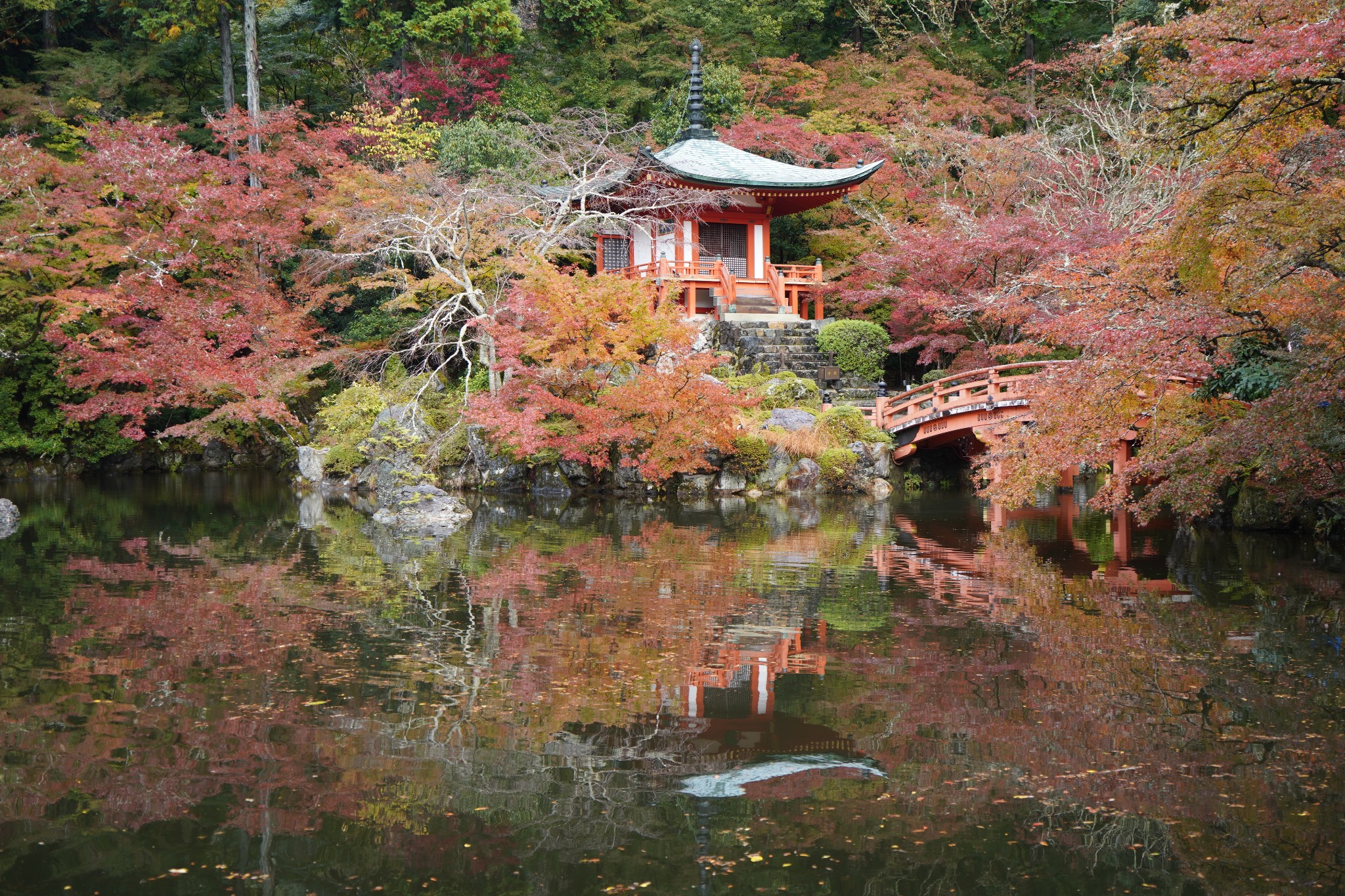 京都自助遊攻略