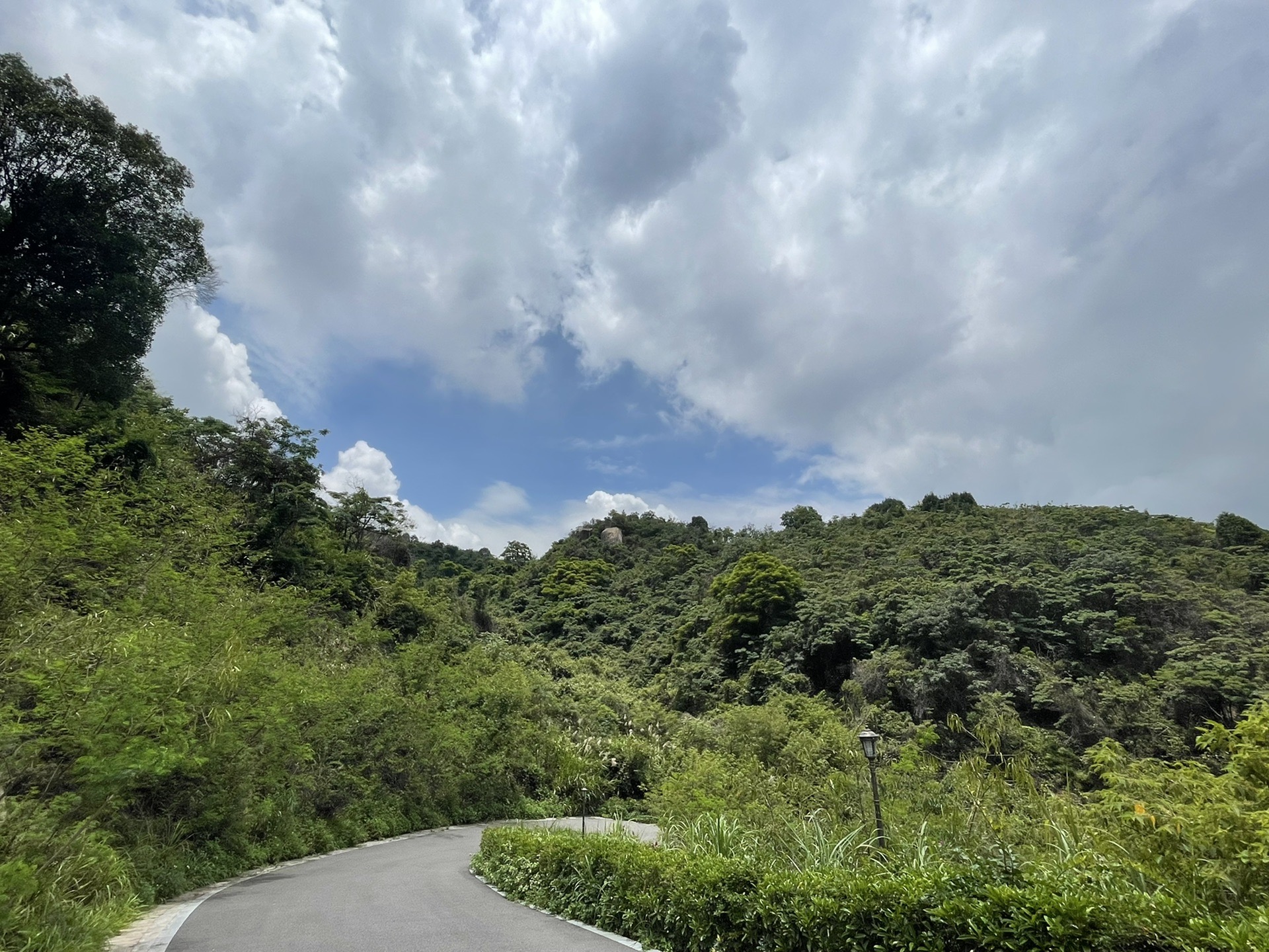 羊台山森林公園(大陽臺),深圳自助遊攻略 - 馬蜂窩