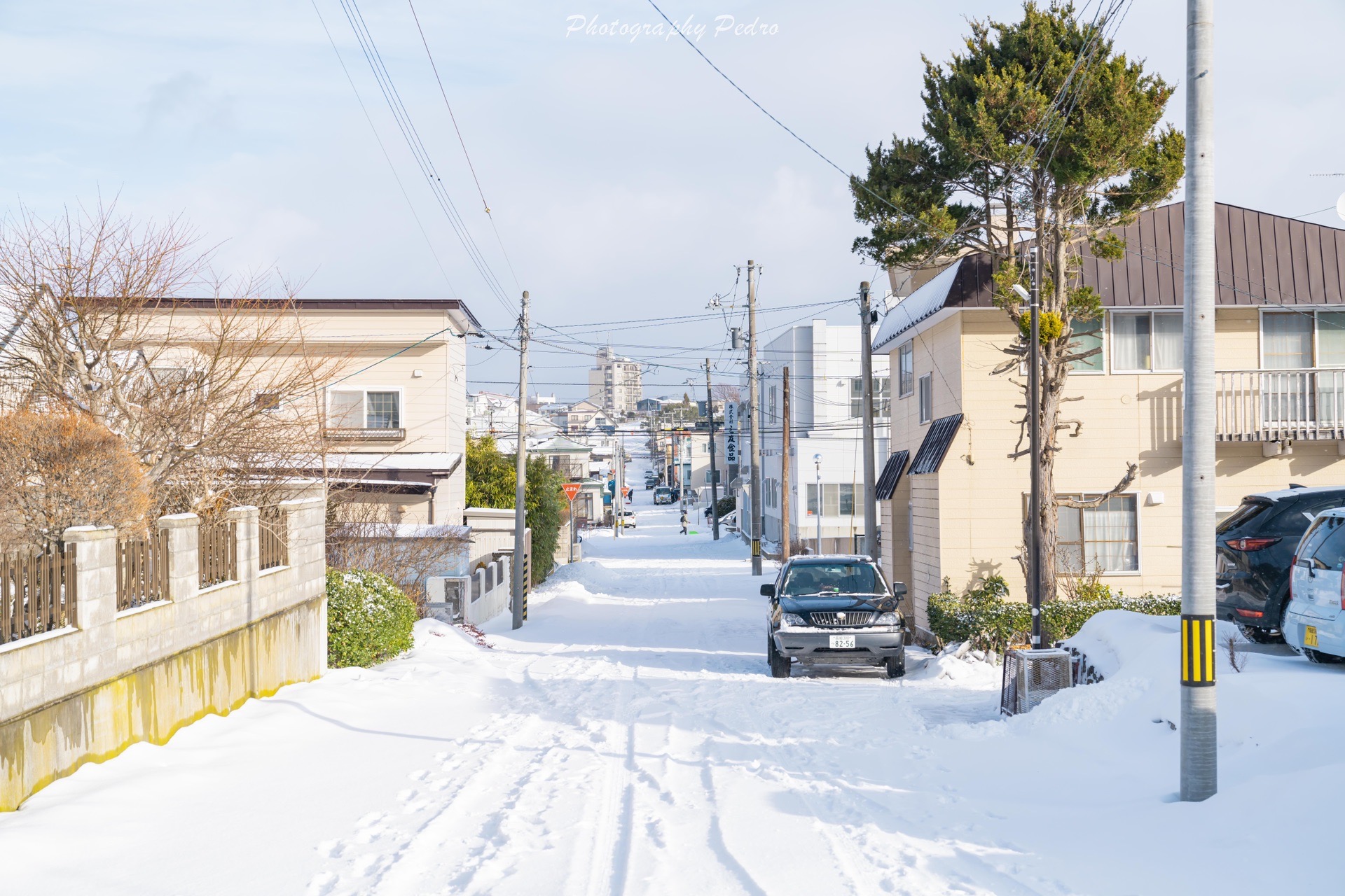 北海道自助遊攻略