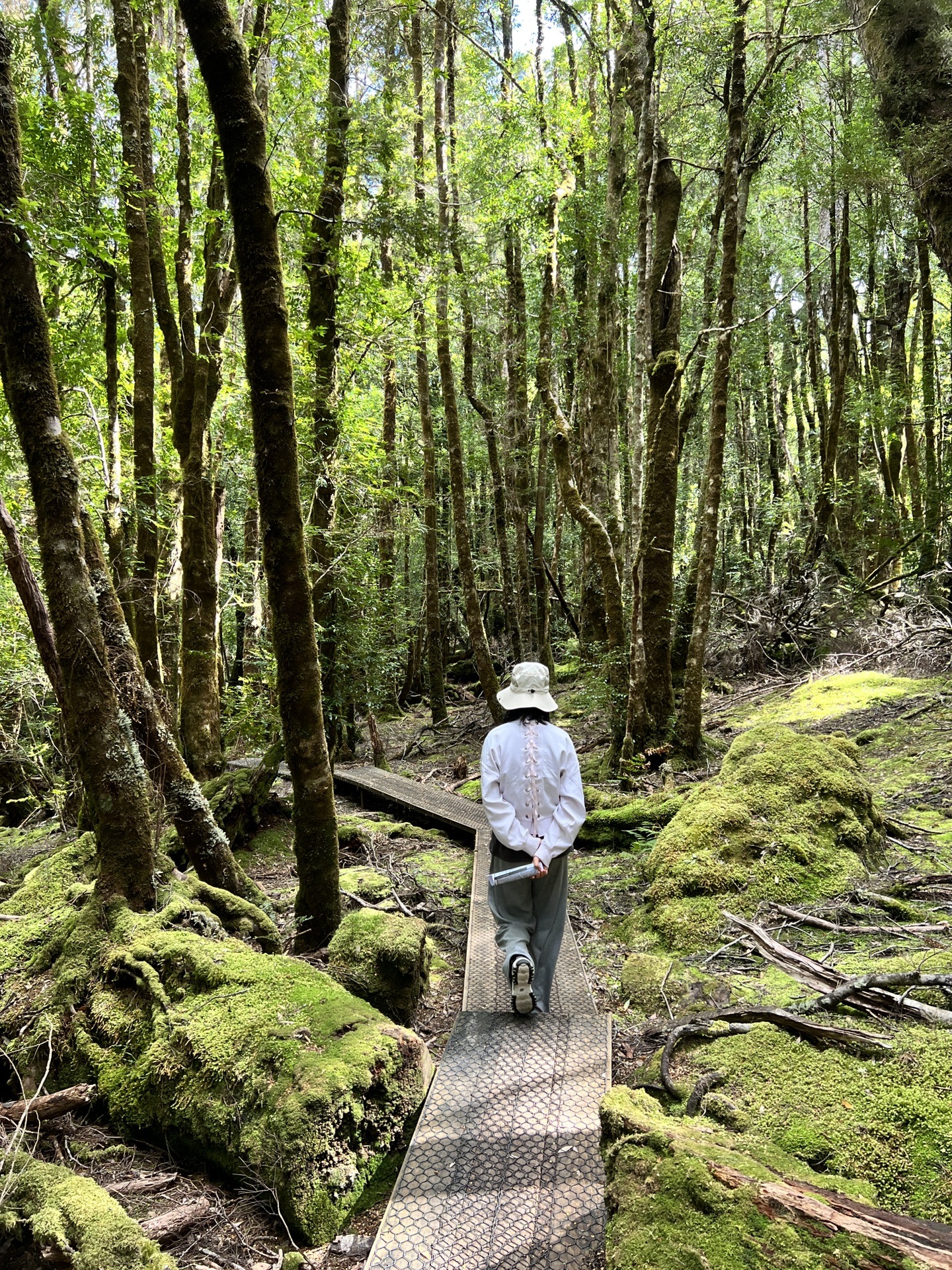 悉尼自助遊攻略