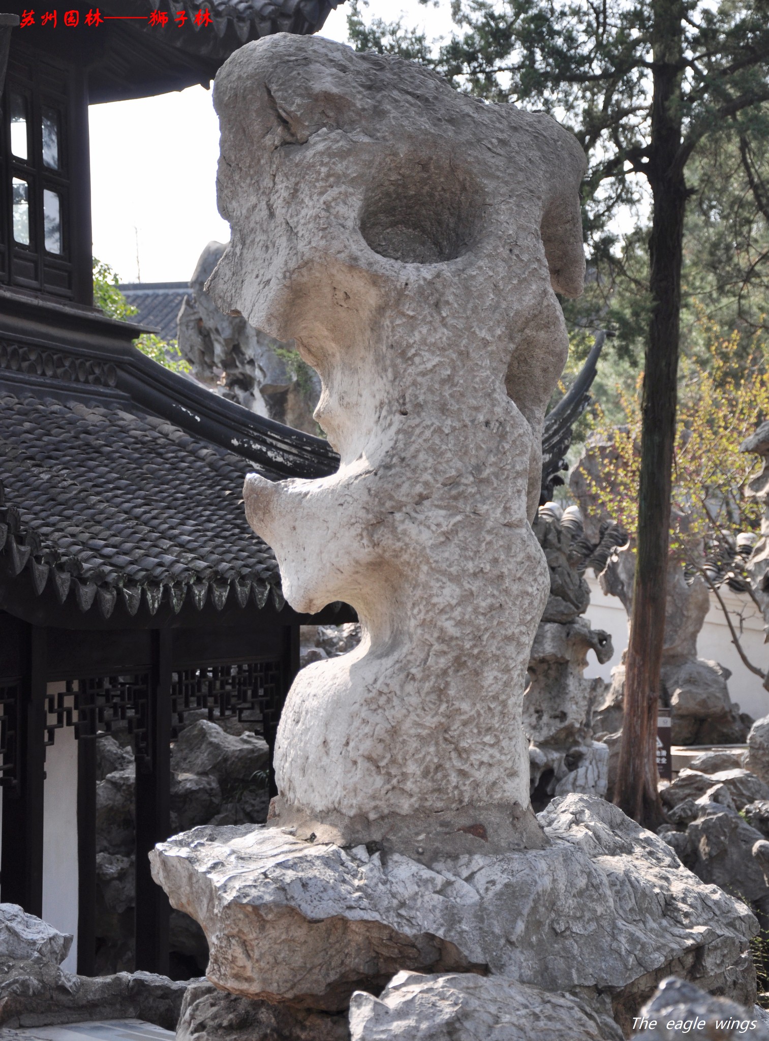 2024年3月下江南——游苏州园林 61 狮子林,苏州四大名园之一