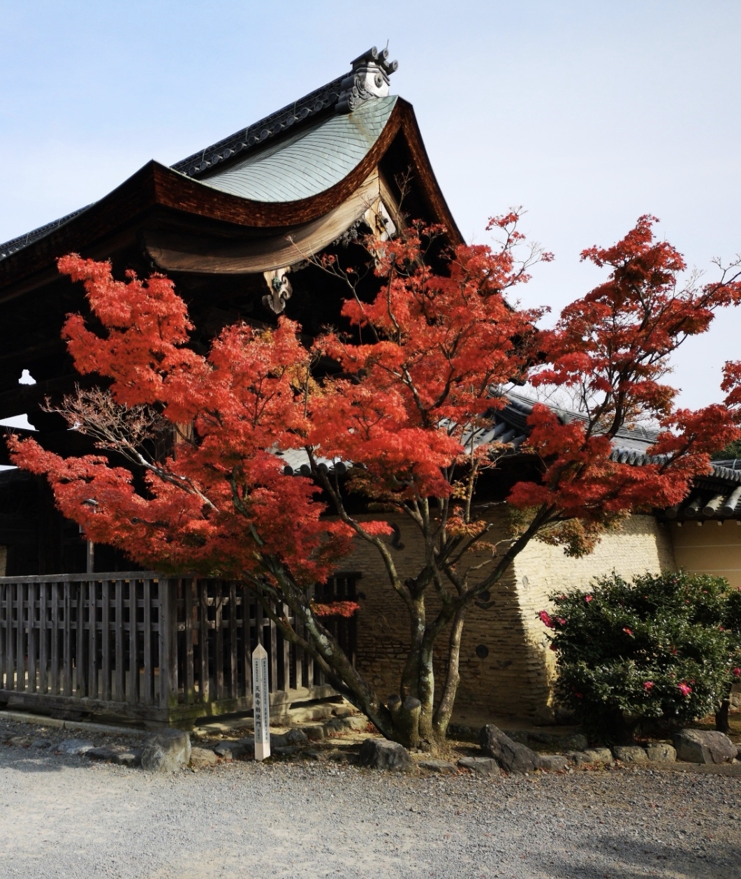 京都自助遊攻略