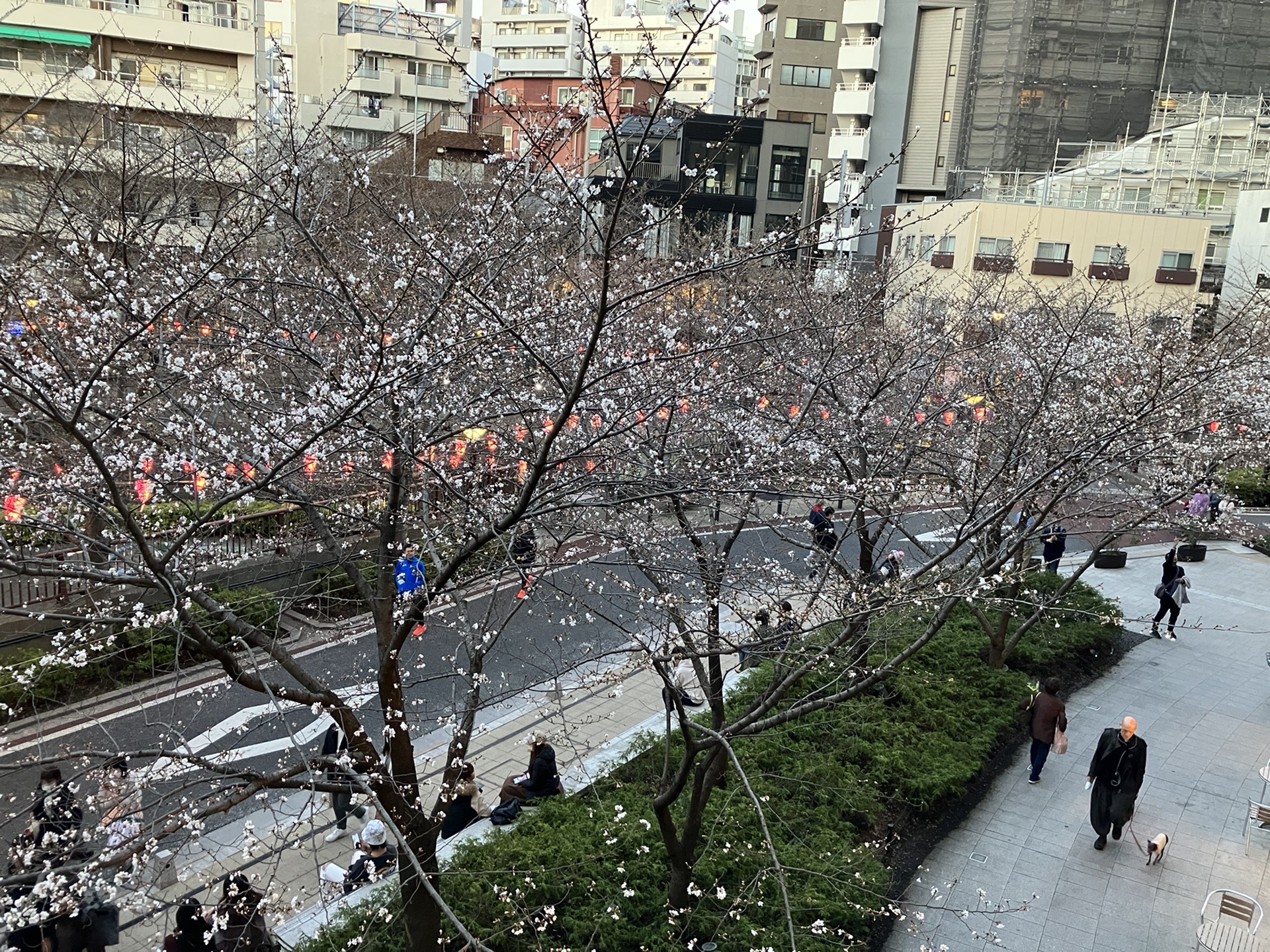 東京自助遊攻略