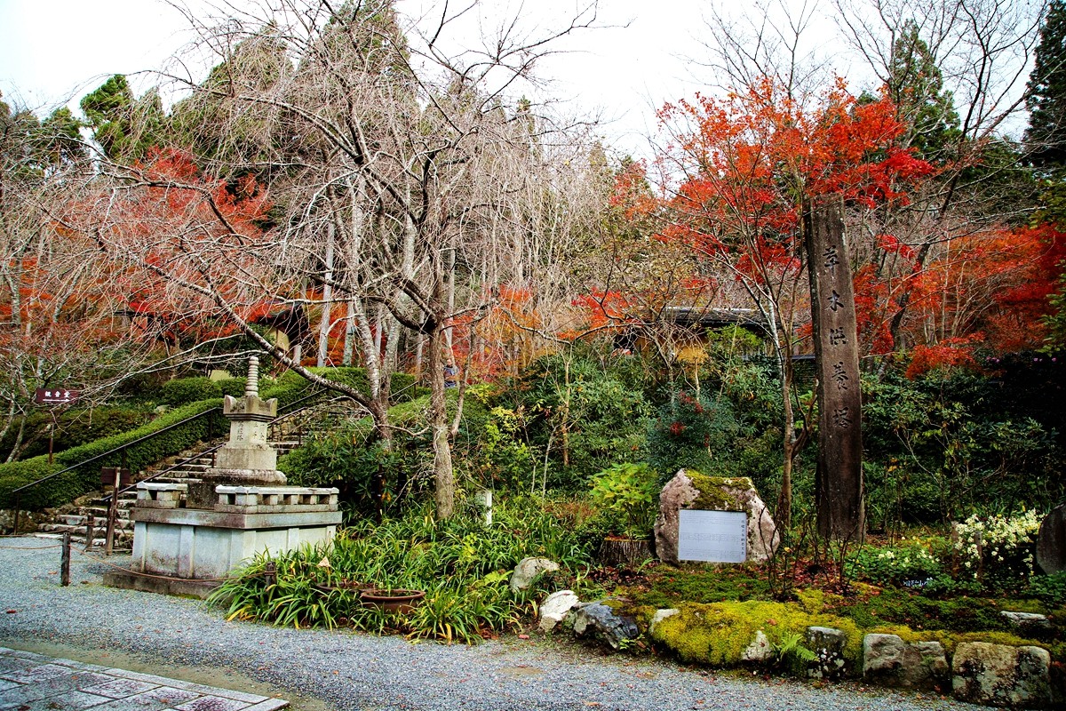 京都自助遊攻略