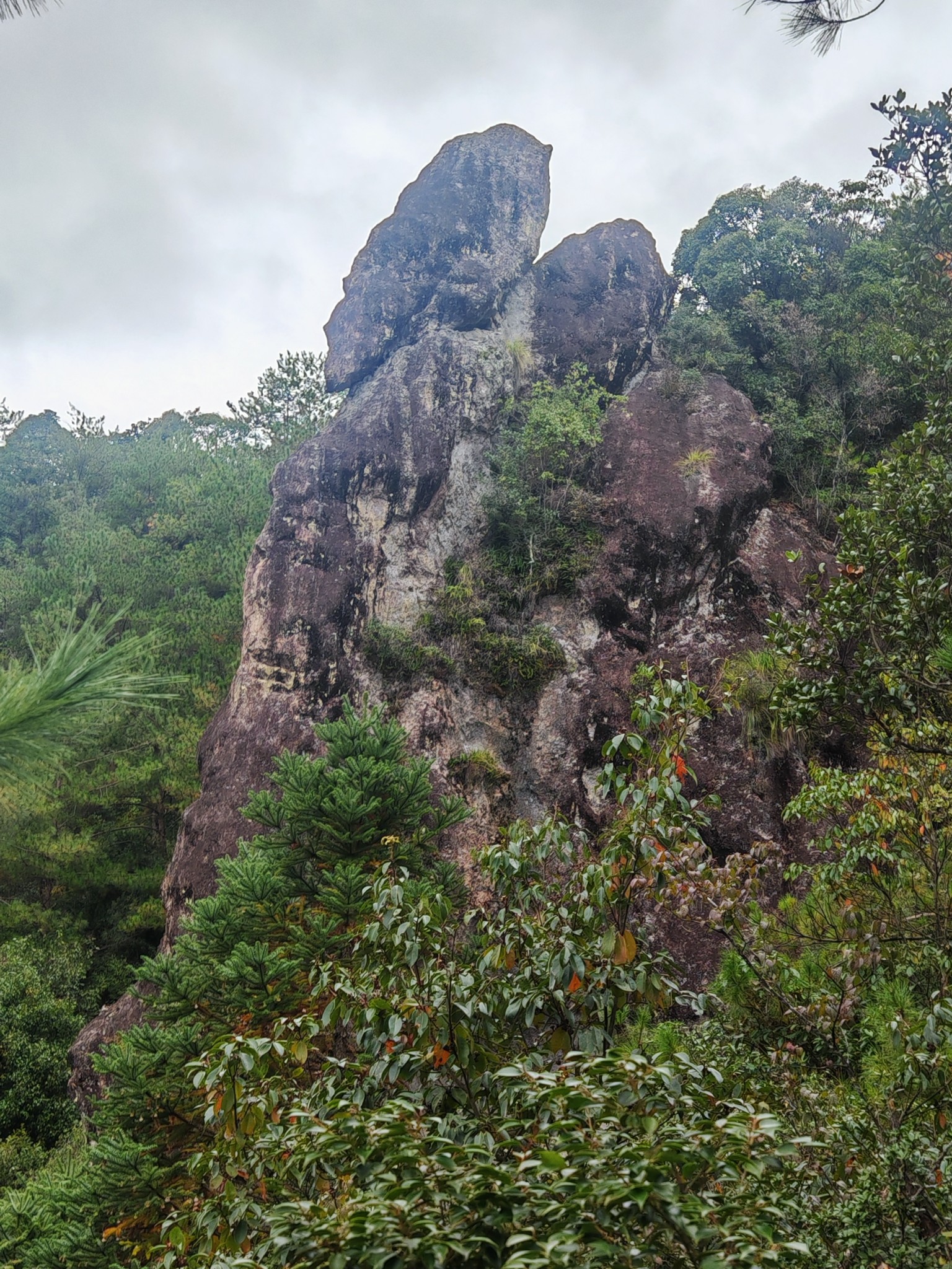 福建政和县洞宫山,政和自助游攻略