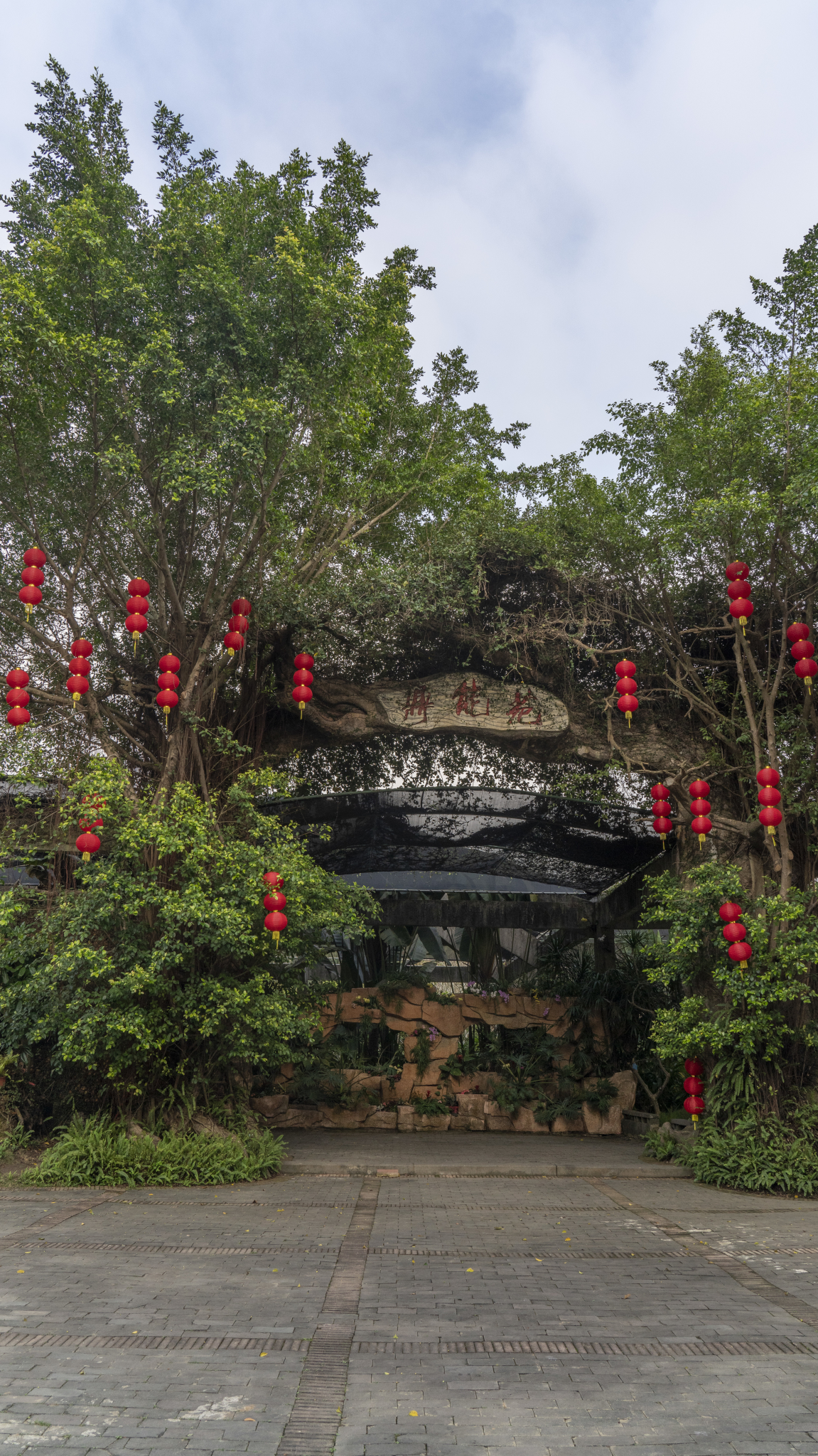 湛江市霞山区公园