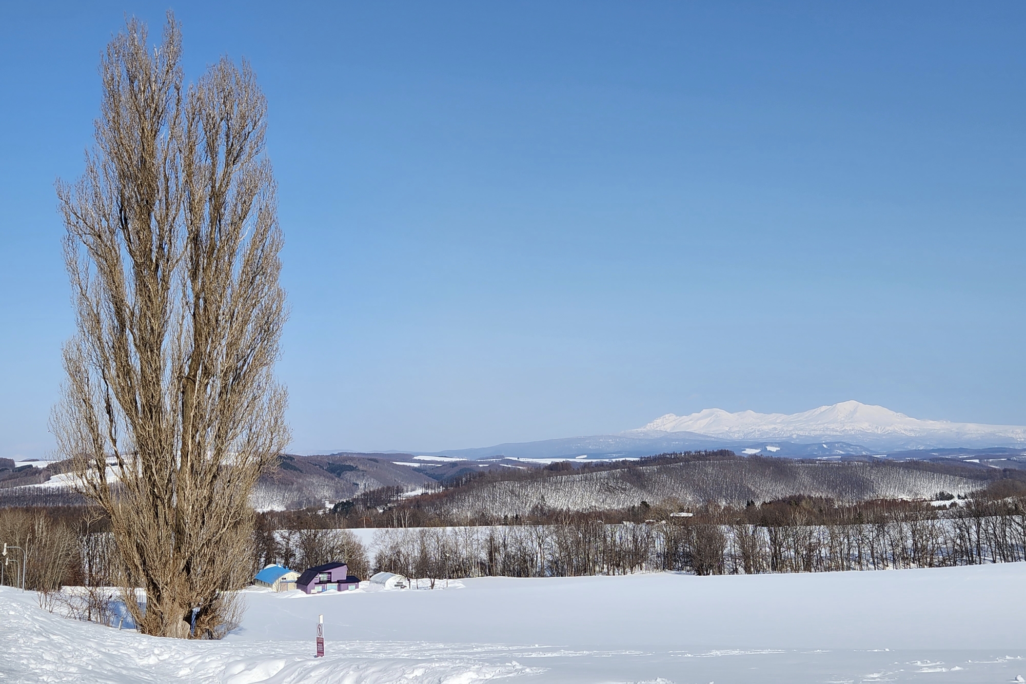 北海道自助遊攻略