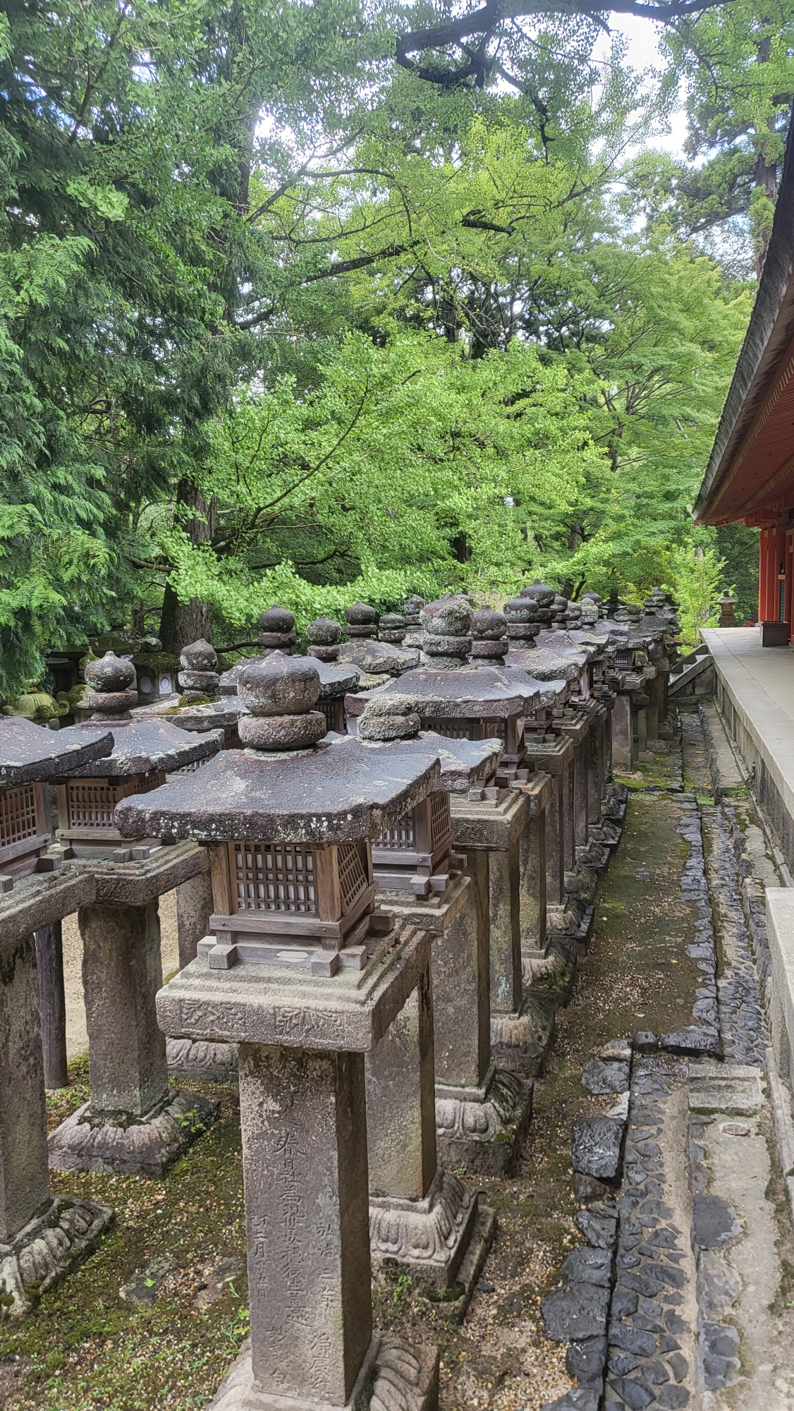 東京自助遊攻略