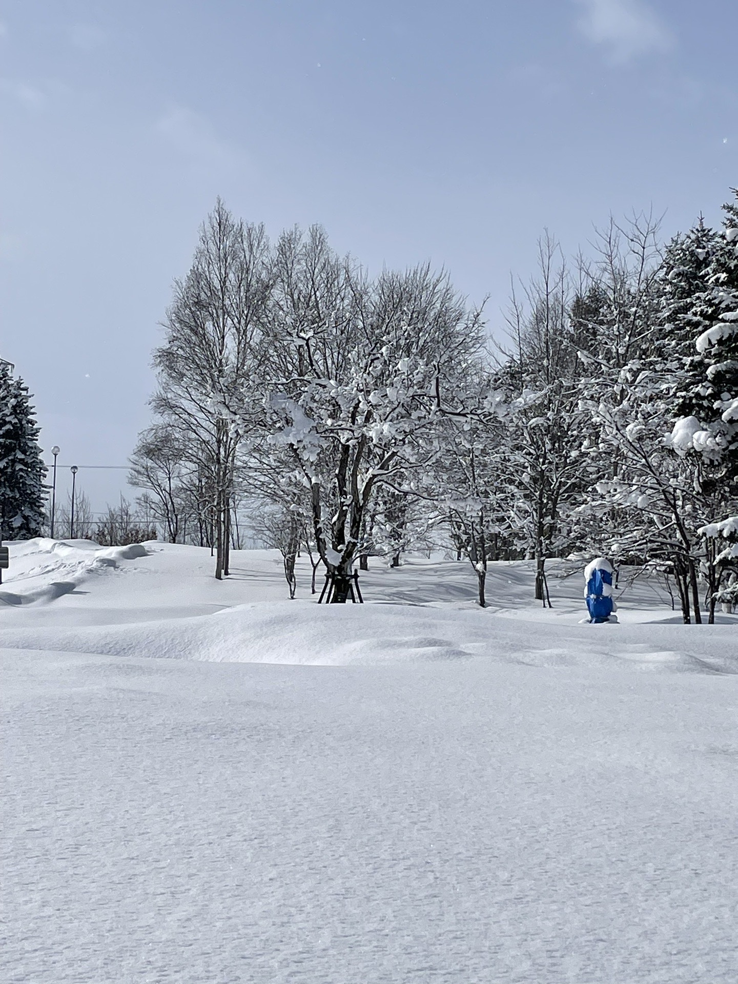 北海道自助遊攻略