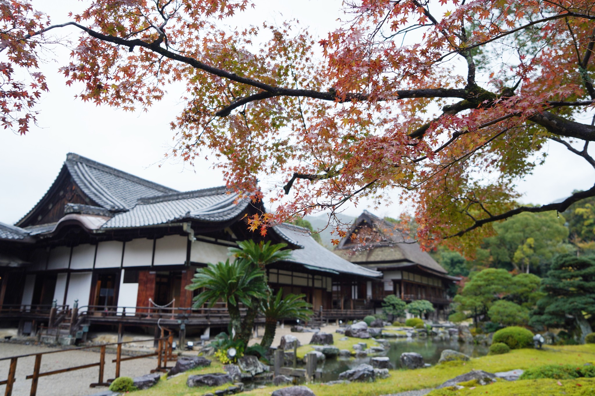 京都自助遊攻略