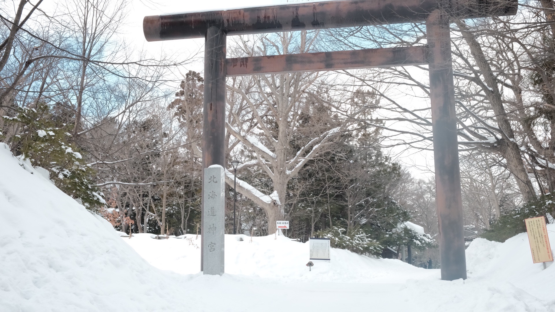 北海道自助遊攻略