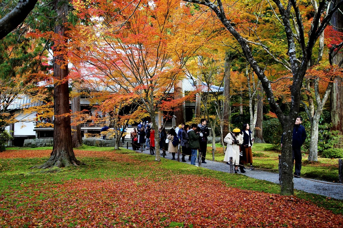 京都自助遊攻略