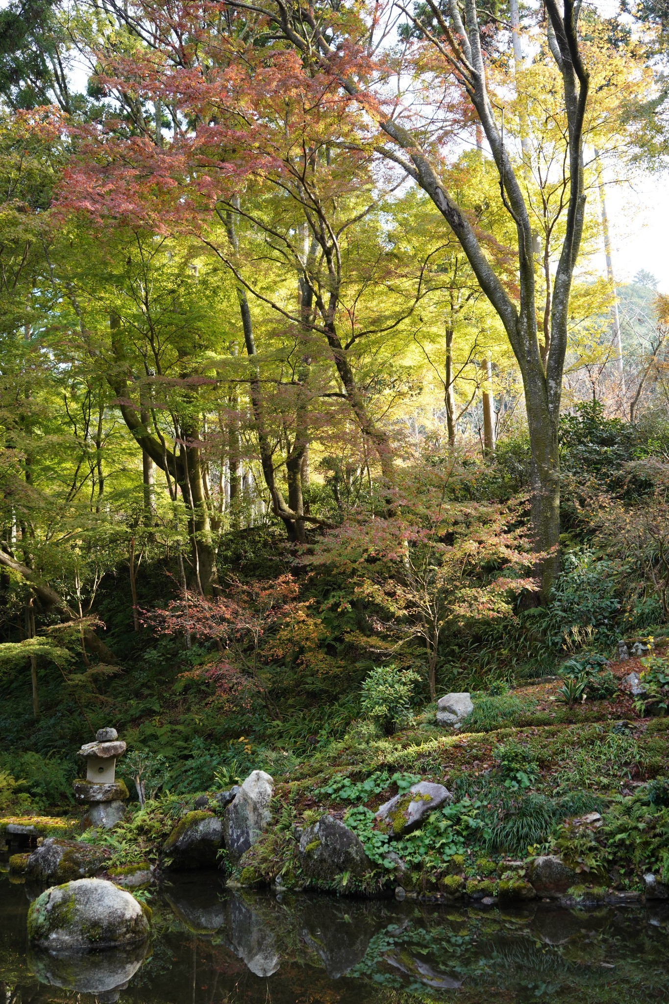 京都自助遊攻略