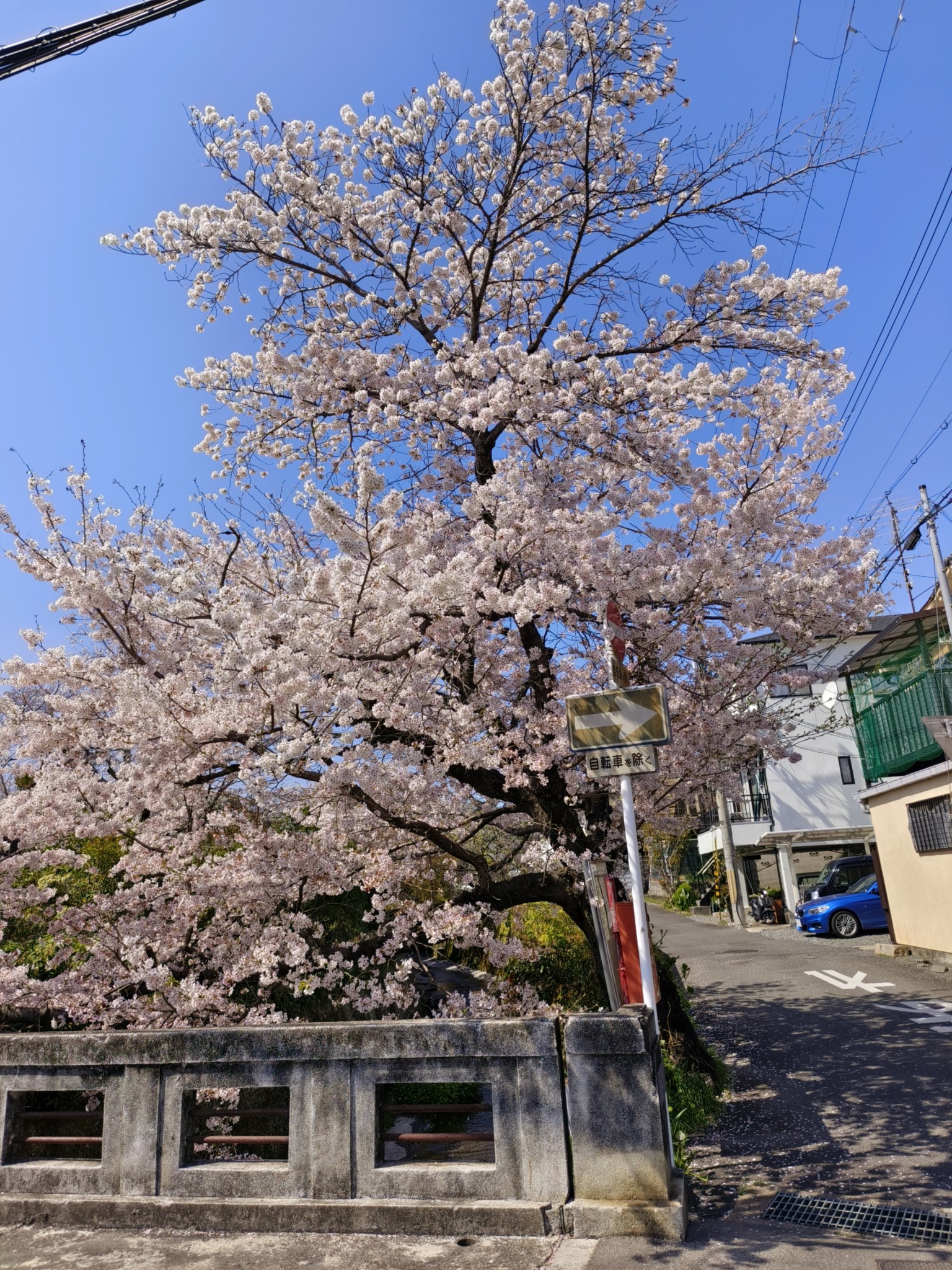 日本自助遊攻略