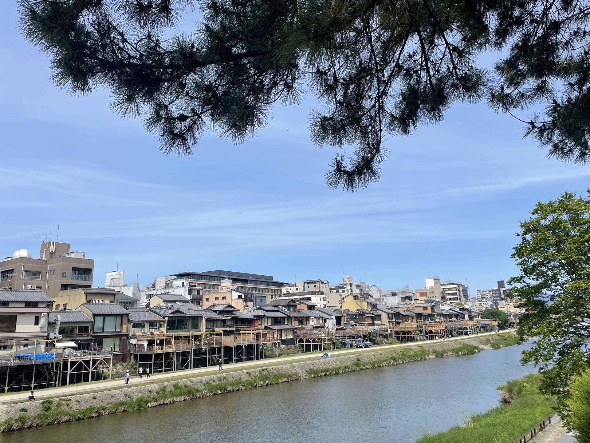 京都自助遊攻略