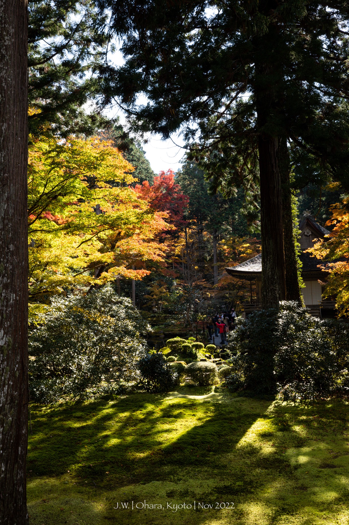 京都自助遊攻略