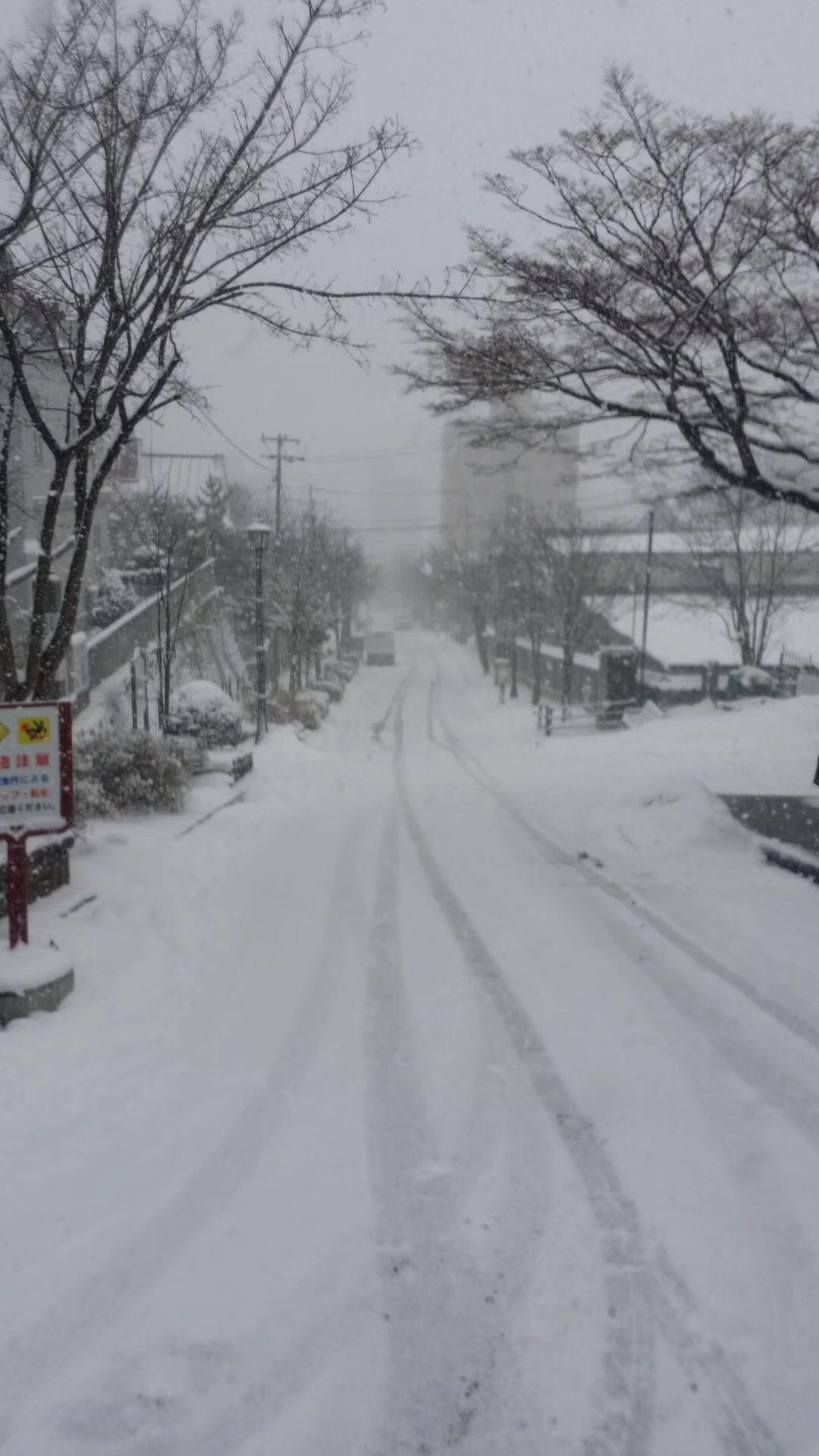 北海道自助遊攻略