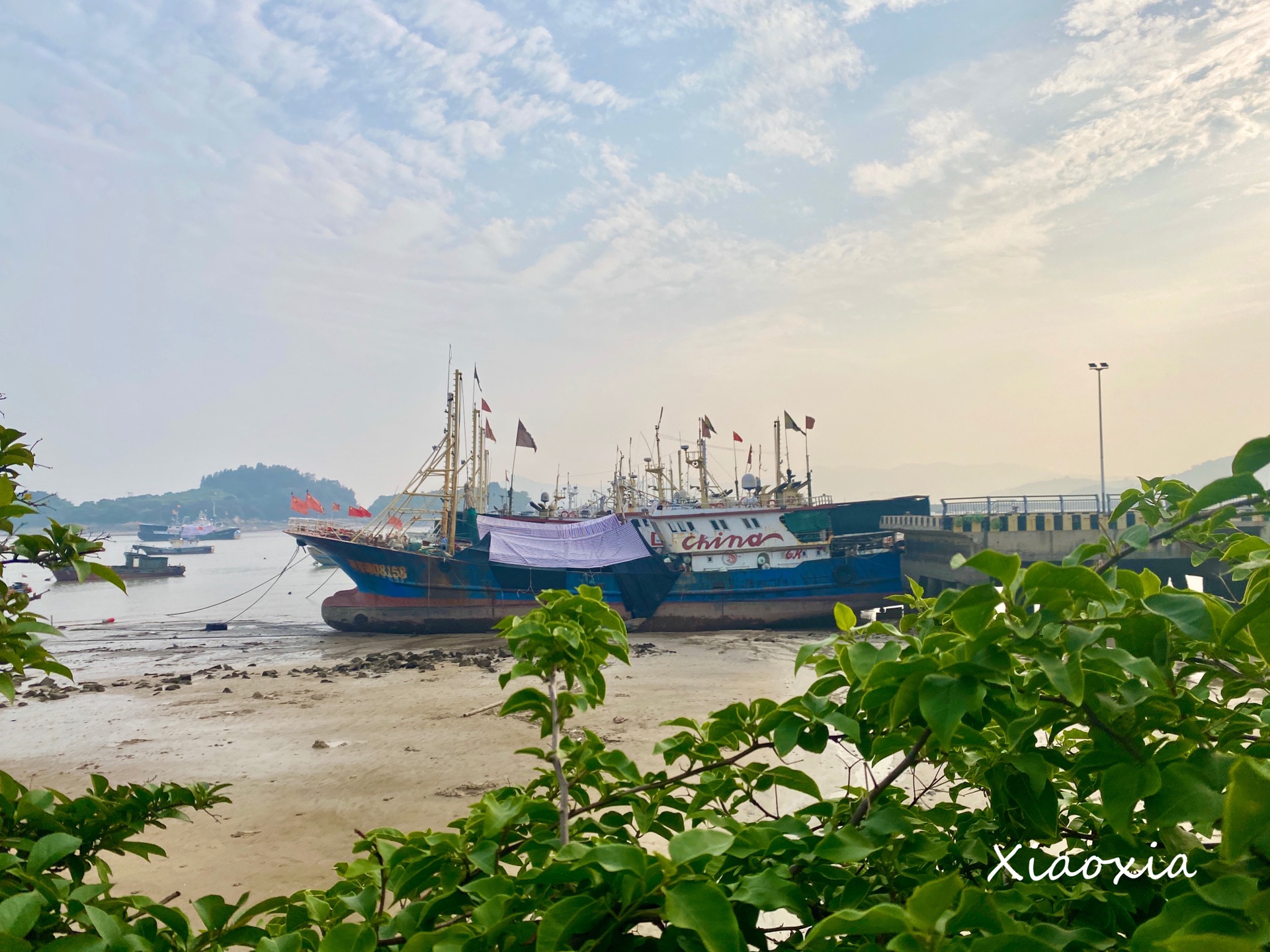 蒼南 | 漁寮霞關兩天一夜,全力奔跑向著海平線_遊記