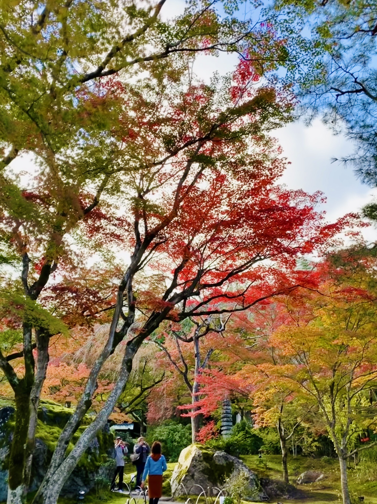 京都自助遊攻略