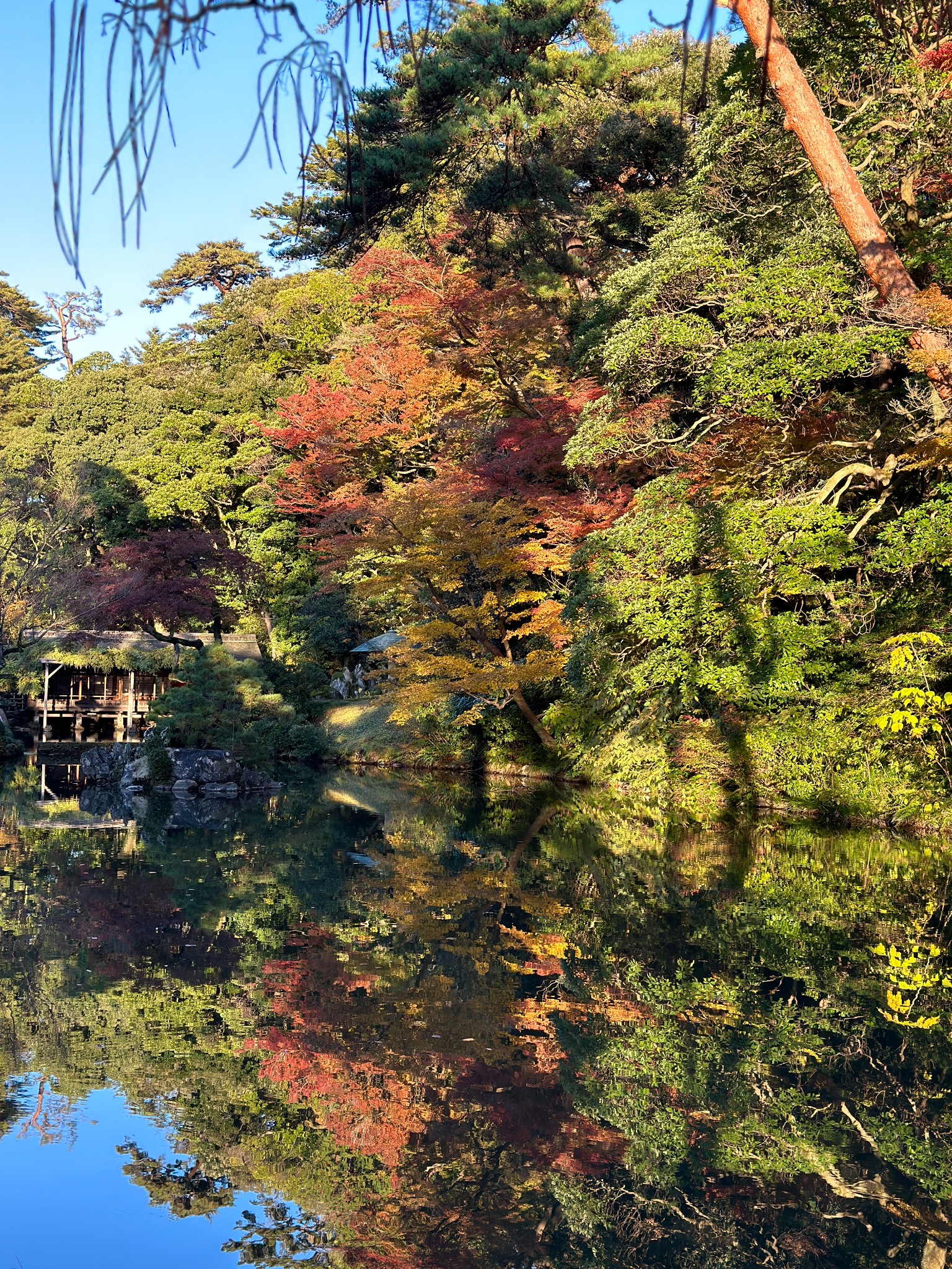 日本自助遊攻略