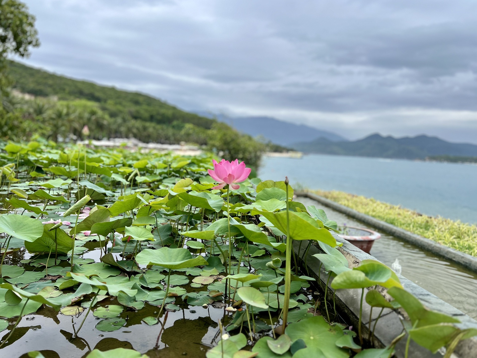 芽莊自助遊攻略