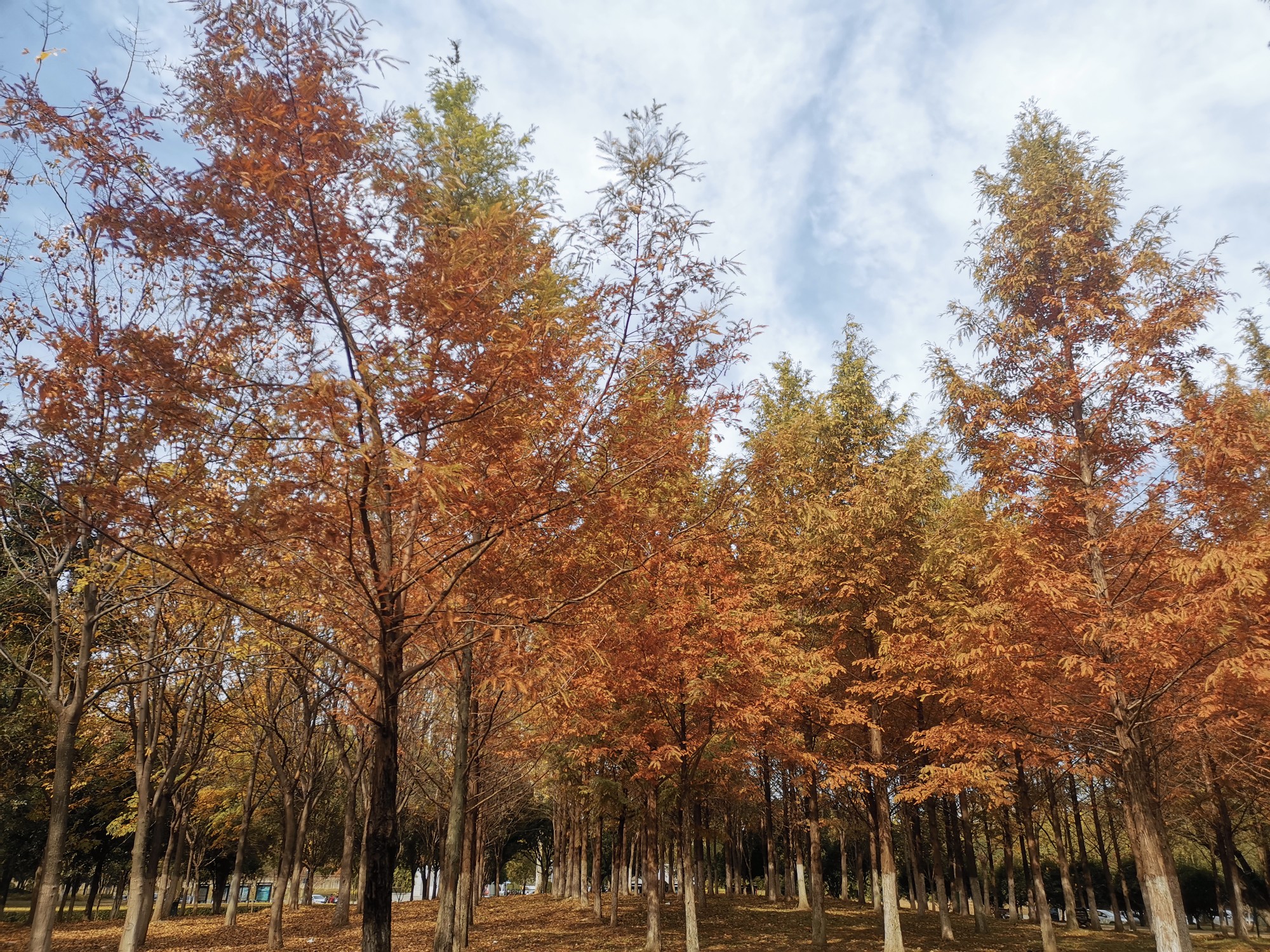 武汉汉江湾体育公园