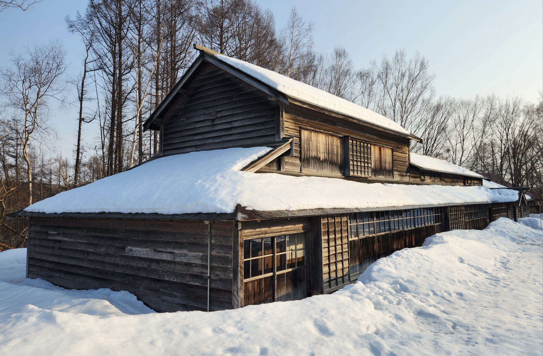 北海道自助遊攻略