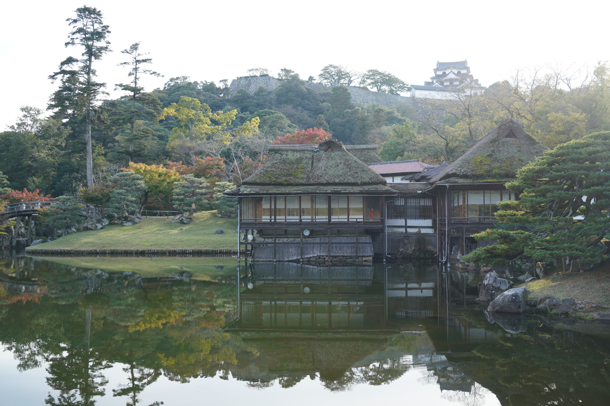 京都自助遊攻略