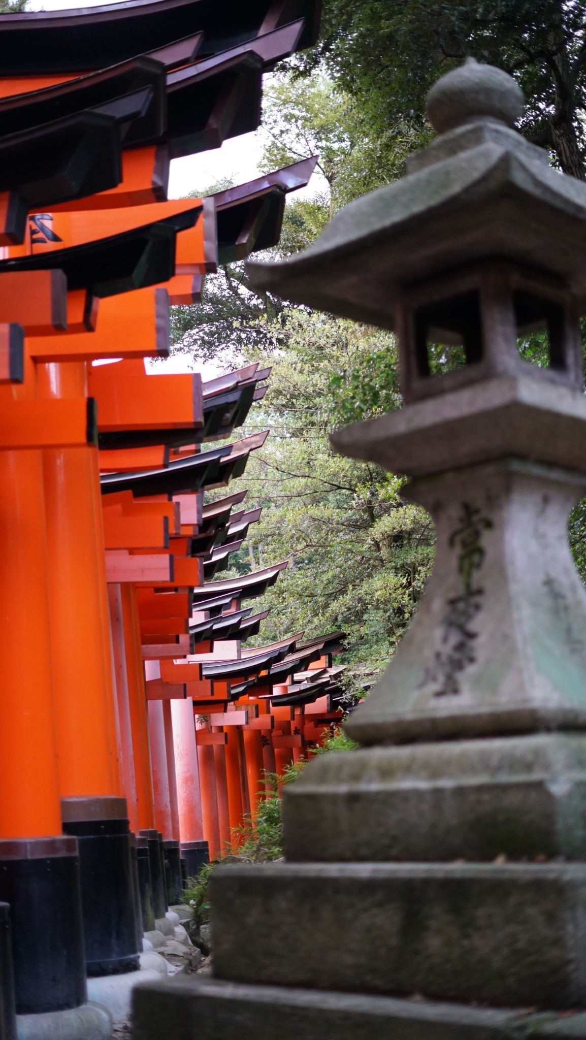 京都自助遊攻略