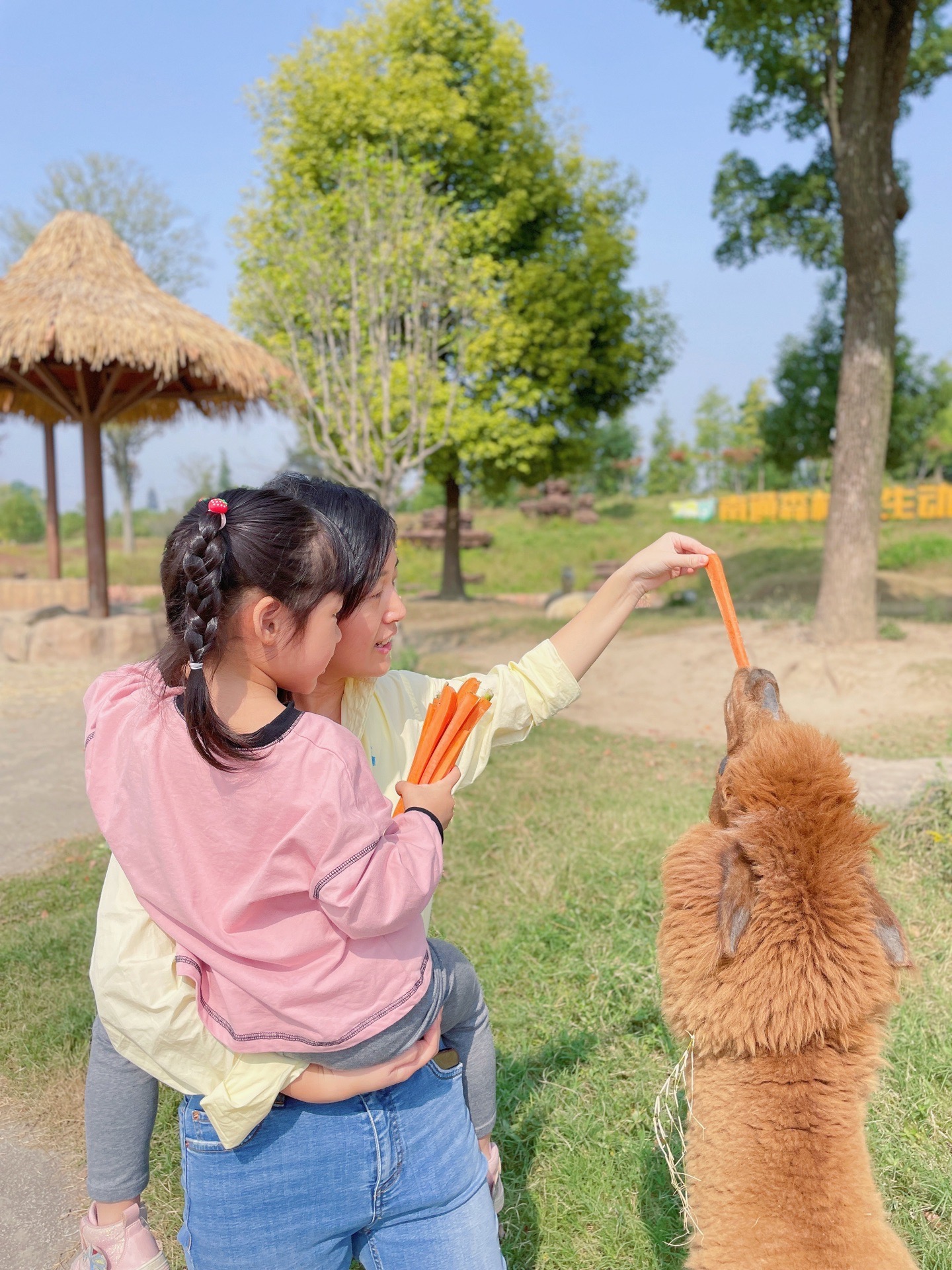 day4:南通森林野生动物园day3:余姚-南通