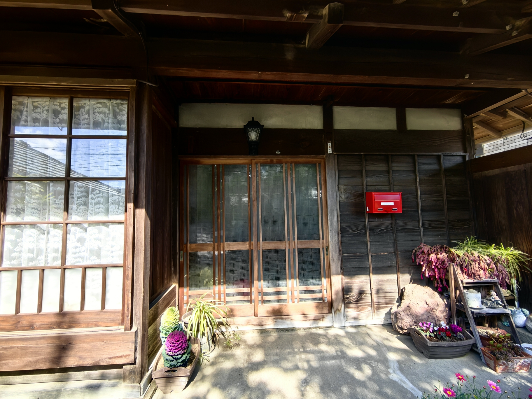 9刷日本①東京掠影→伊豆半島流淌的漫時光·河津