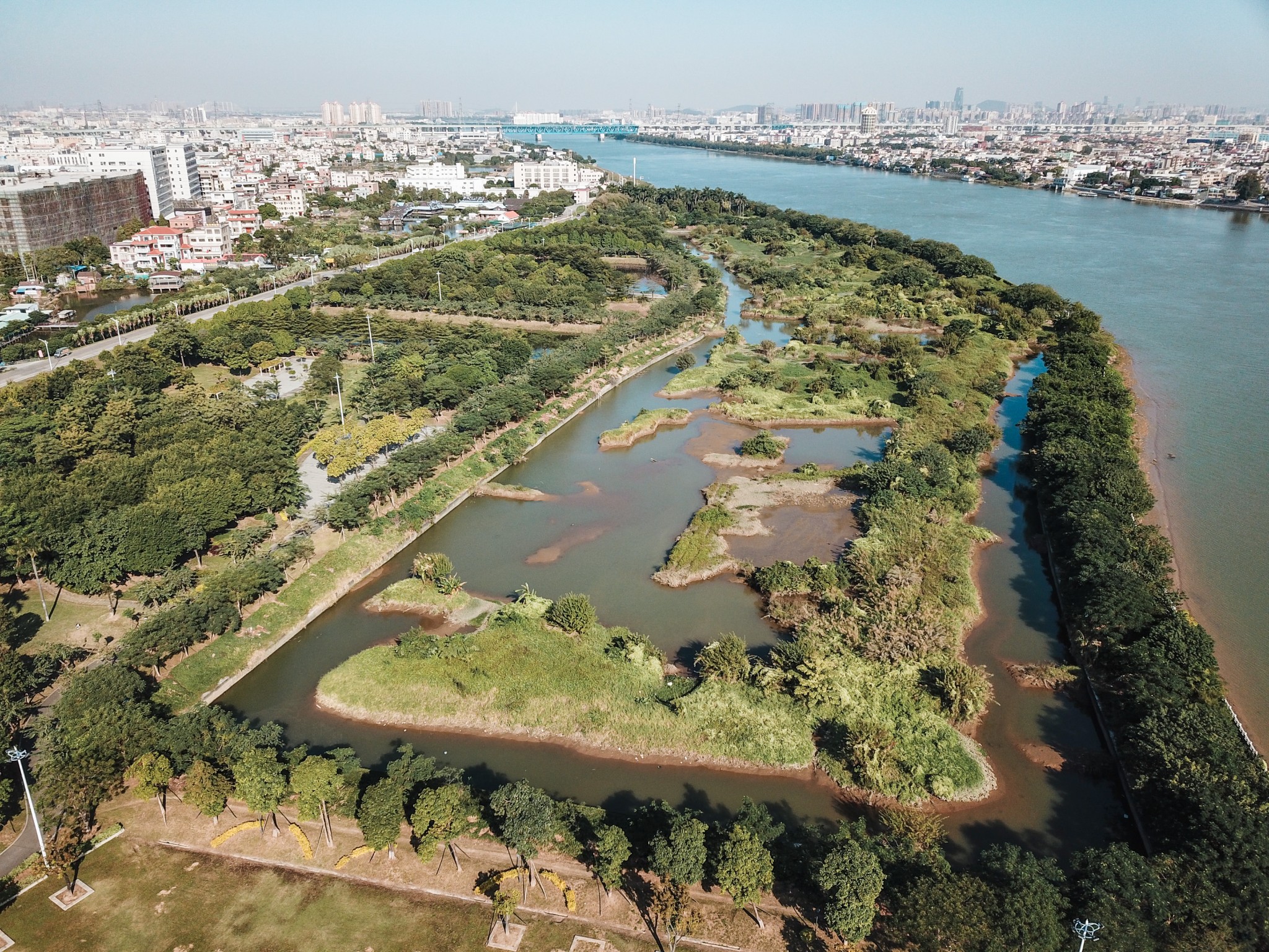 和穗湿地公园 野餐圣地,赏荷名所