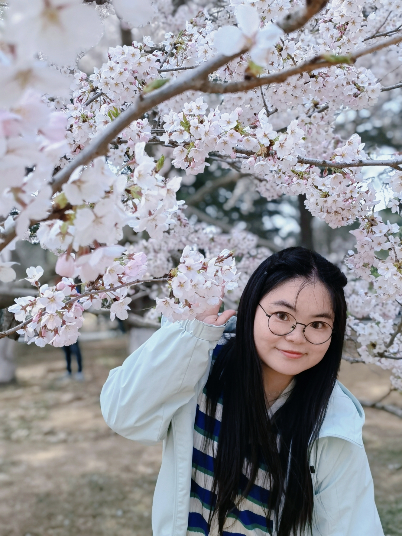 【青岛春日暴走日志】四天三夜：💨吹成海带的我们，与樱花撞个满怀🌸插图323