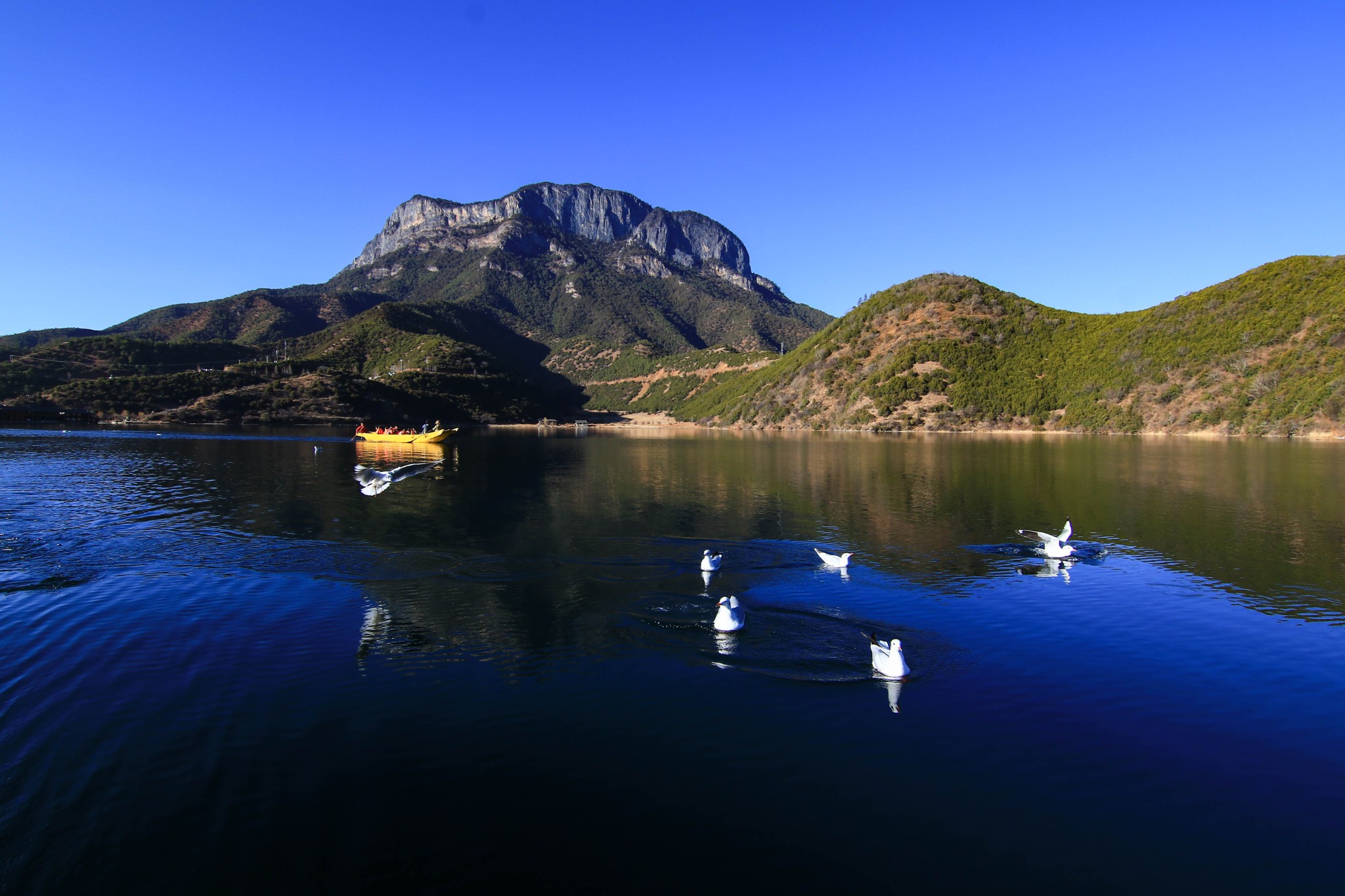 云南记忆——丽江&大理&腾冲,丽江自助游攻略 - 马蜂窝