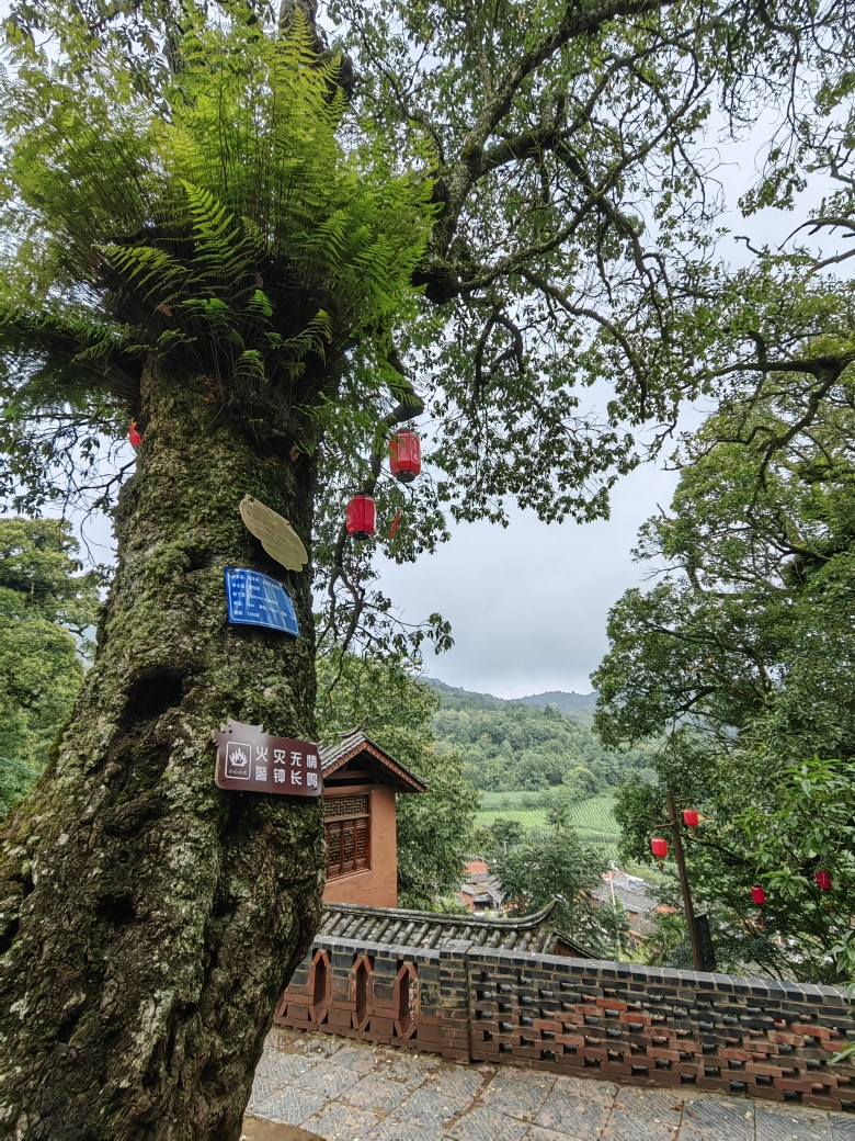 图片双柏县白竹山一日游