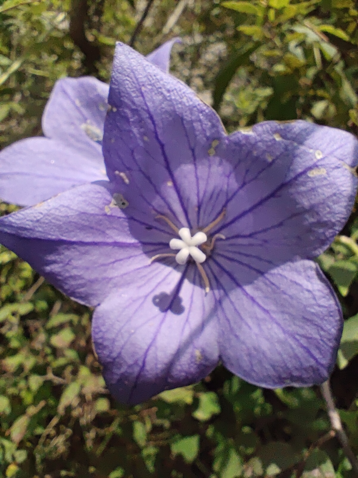 20220730承德县滴水崖