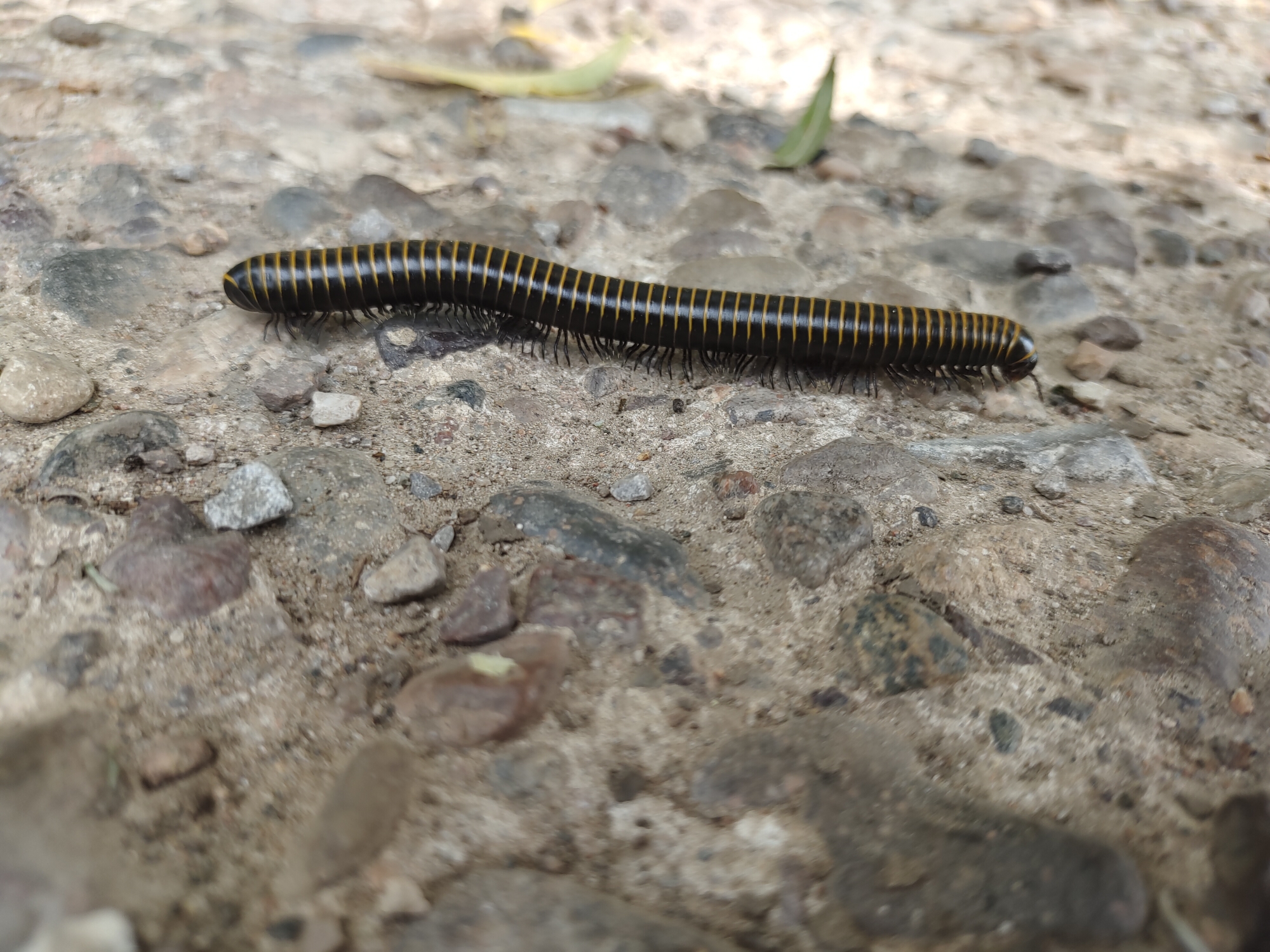 20220730承德县滴水崖