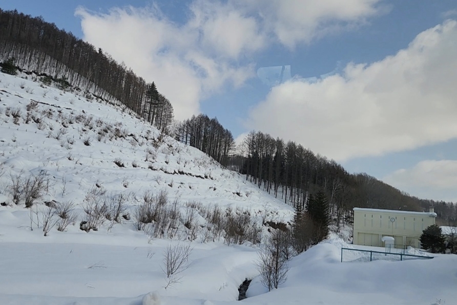 北海道自助遊攻略