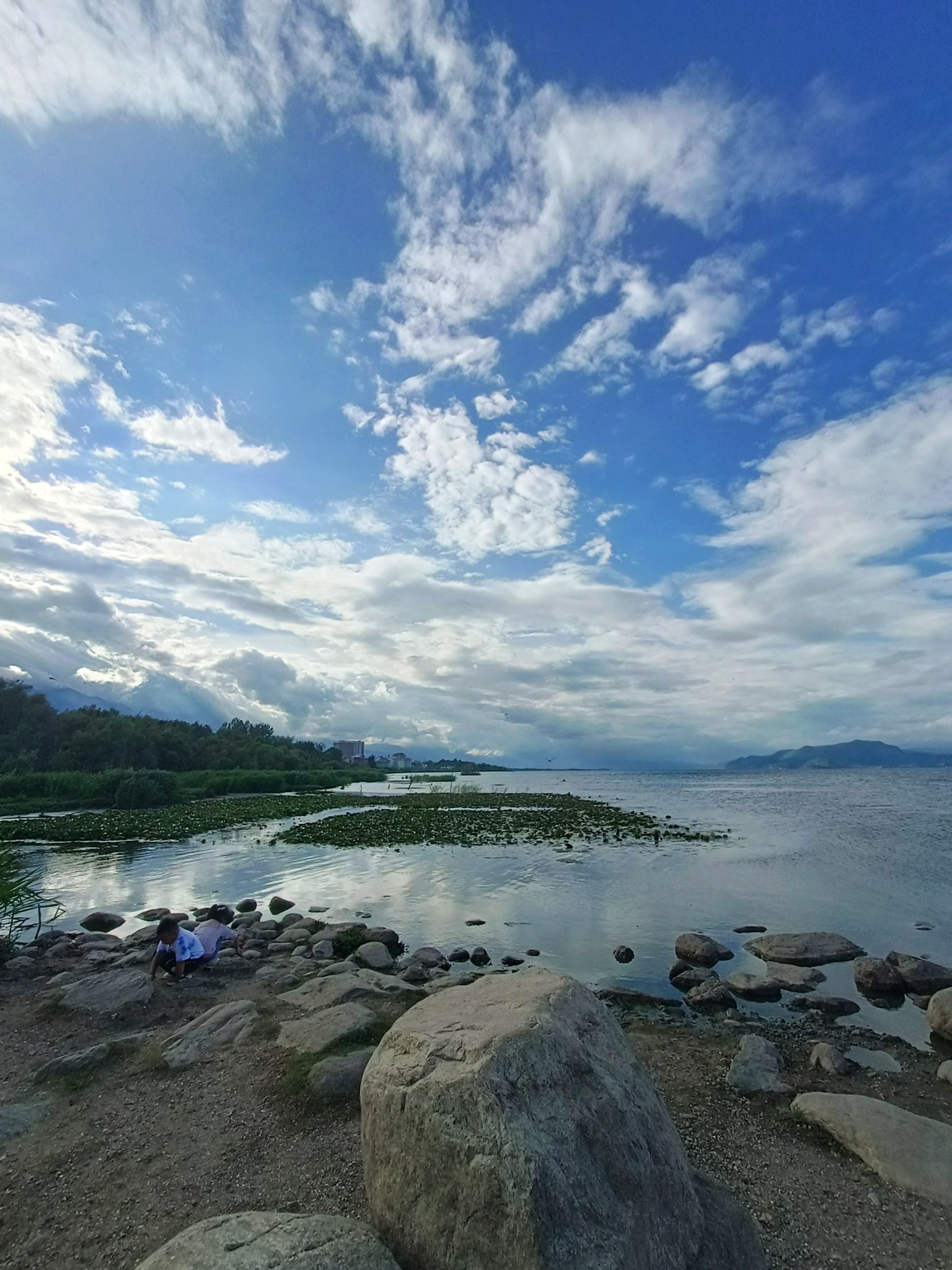 大理洱海月湿地公园
